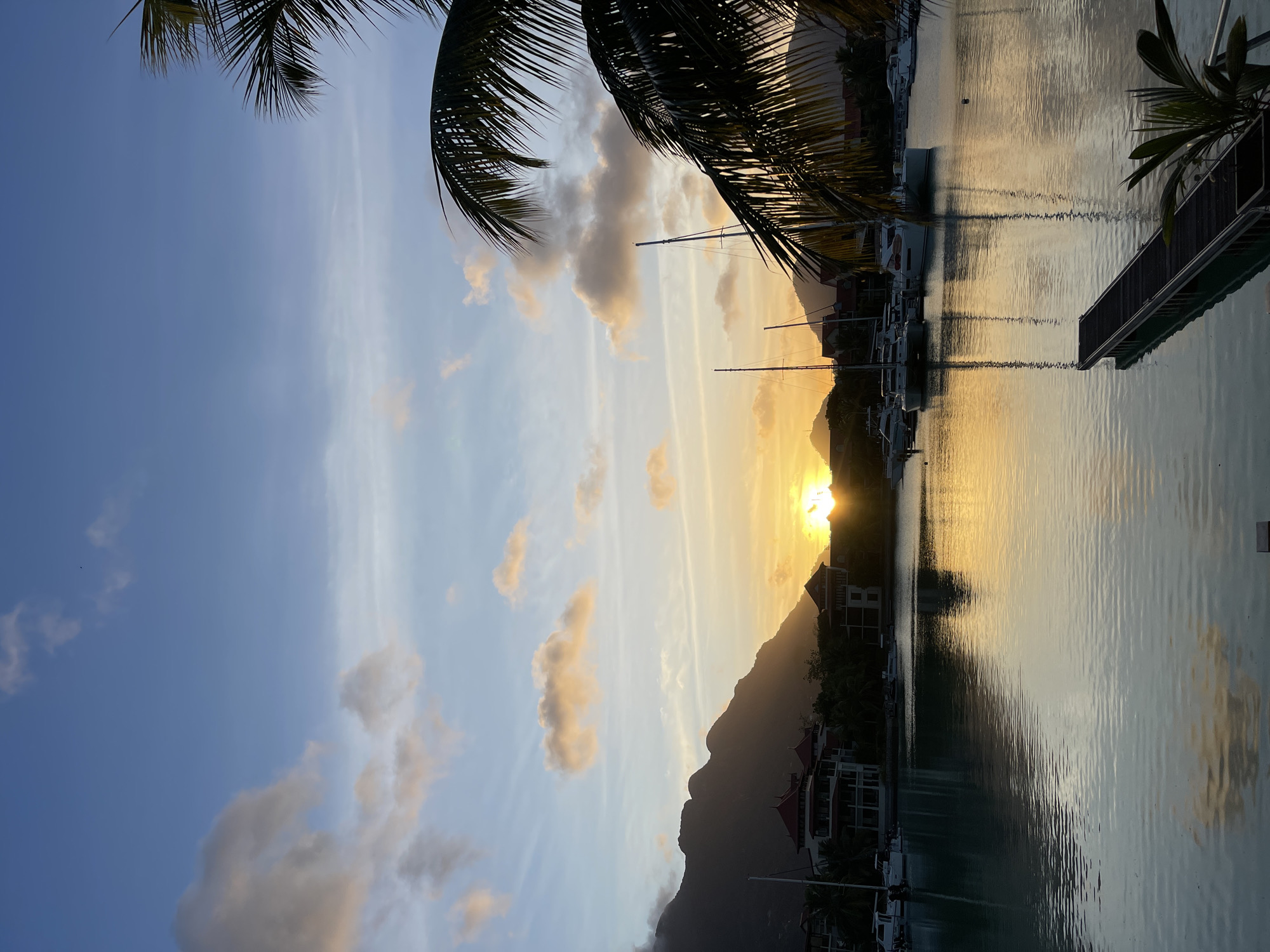 Marina life and waterfront calm across Mahé, Seychelles