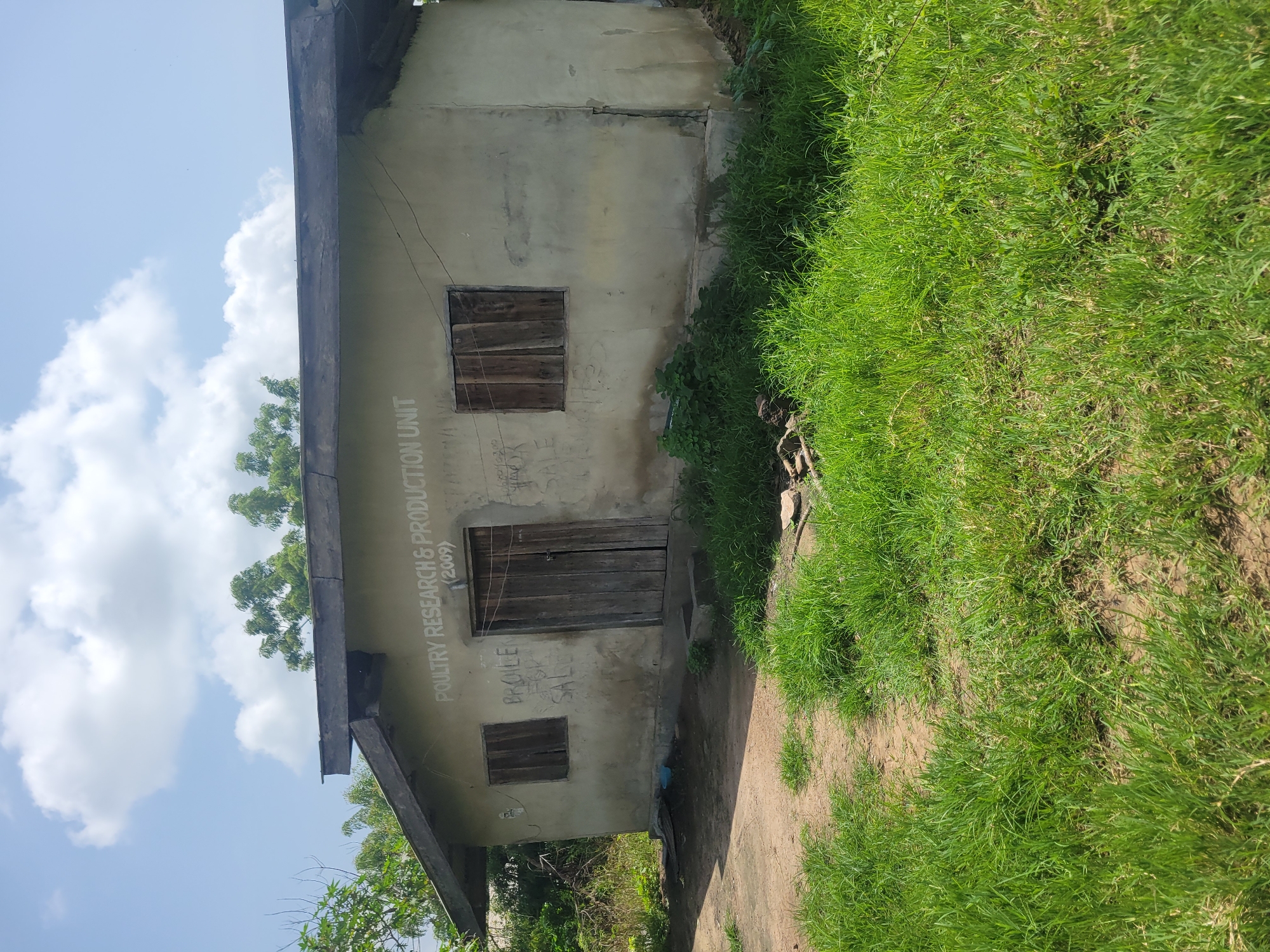 Daily life scenes captured in Ogbomosho, Nigeria
