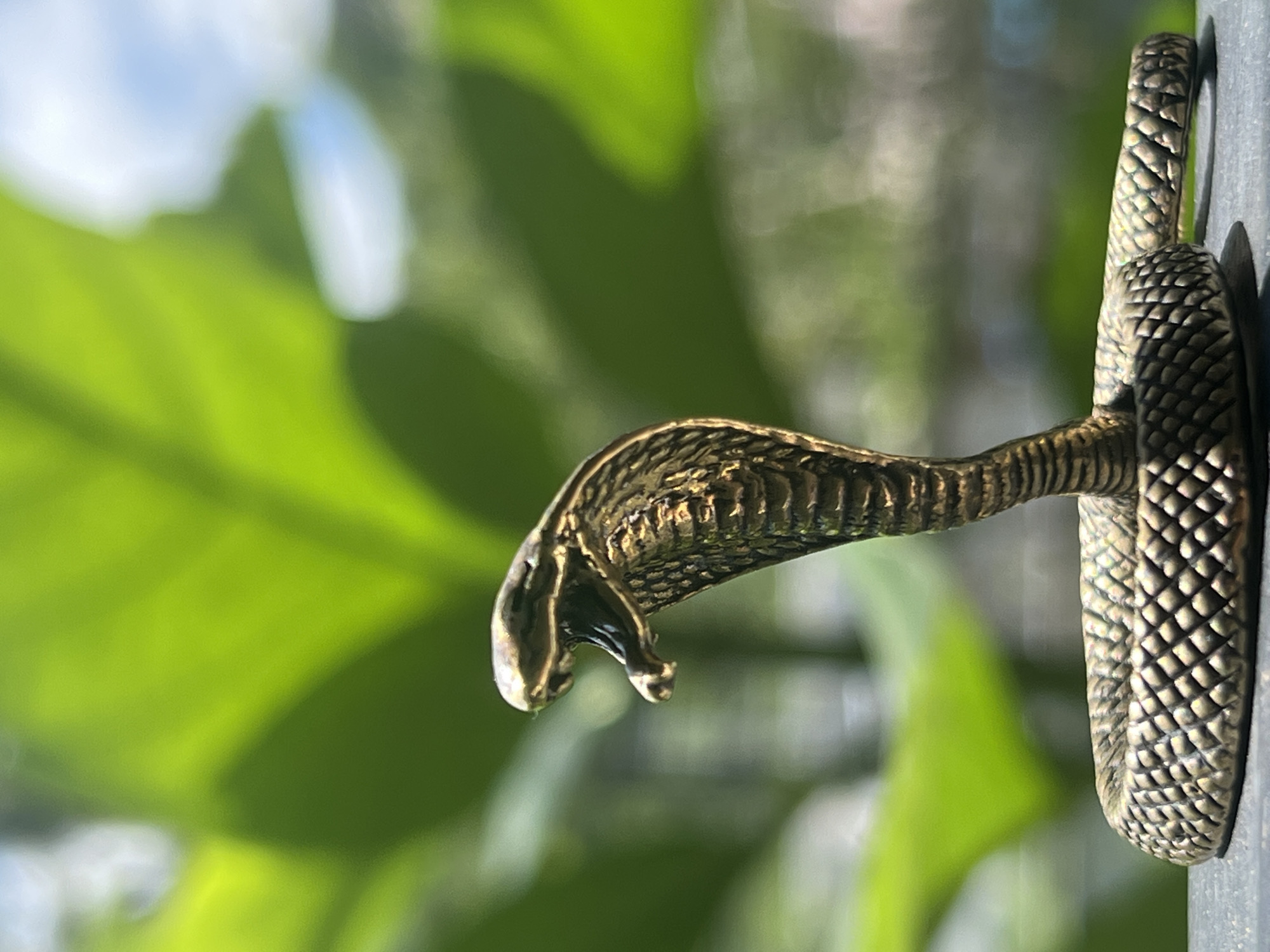 Morning scenes in Karon: cobra figurine and tabletop reading setup