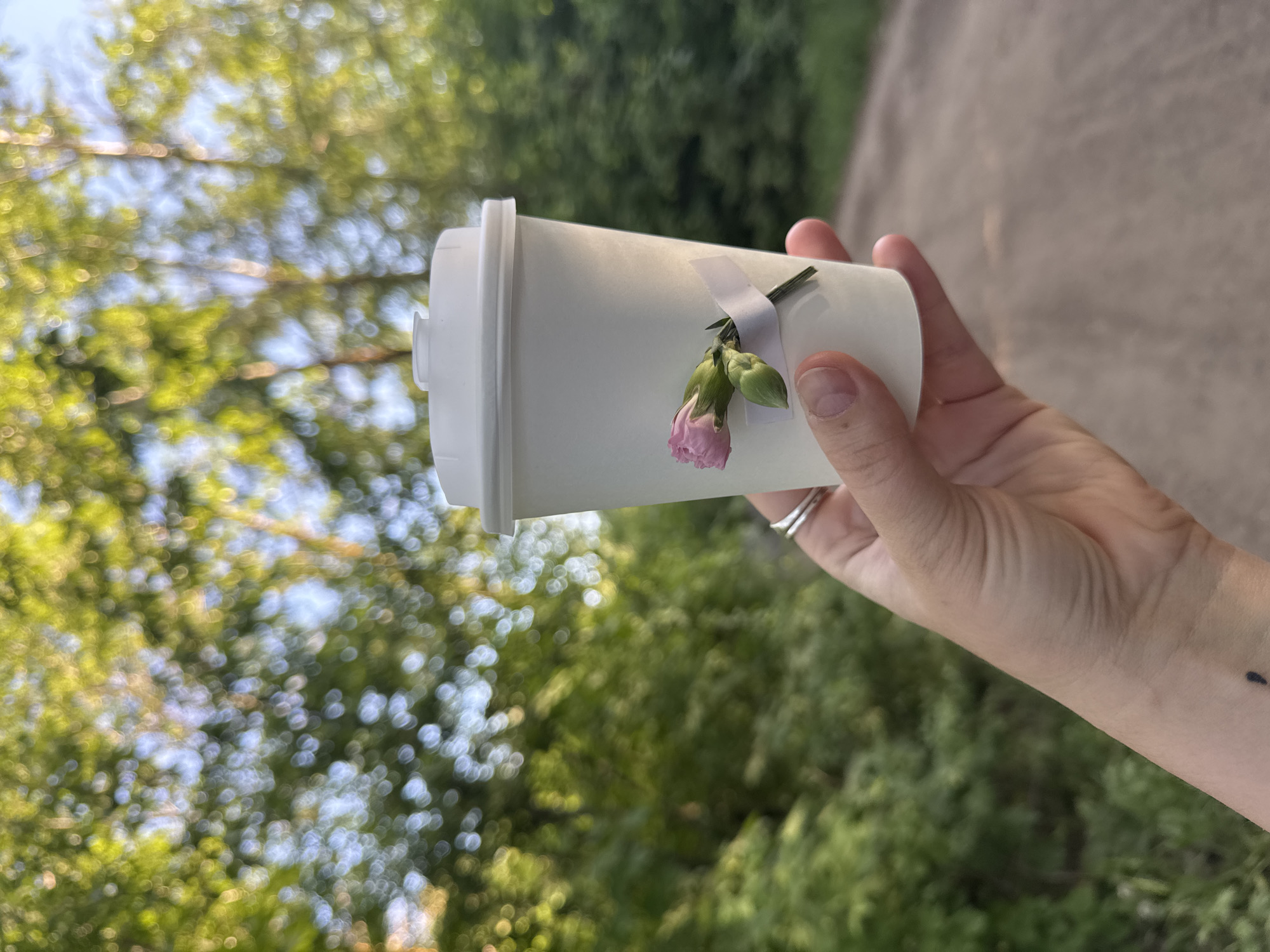 Spring afternoon captures coffee, nature walks, and urban construction