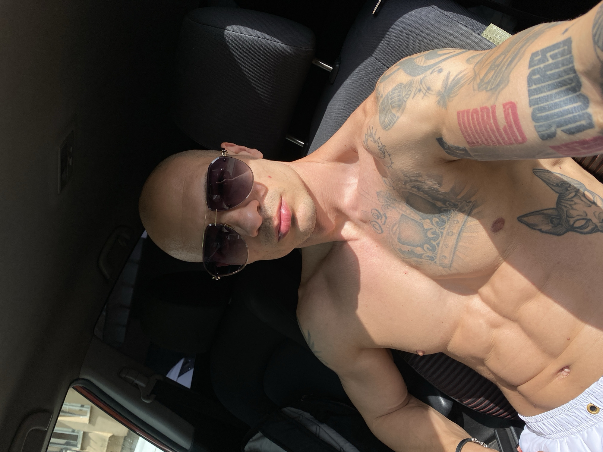 Tattooed man spotted in vehicle near Pleven, Bulgaria