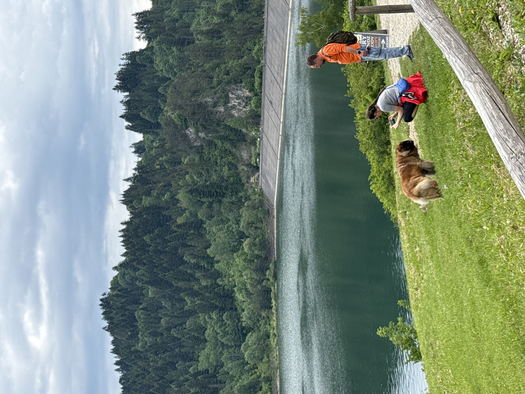 Man walks dog near historic Niedzica-Zamek castle and lake