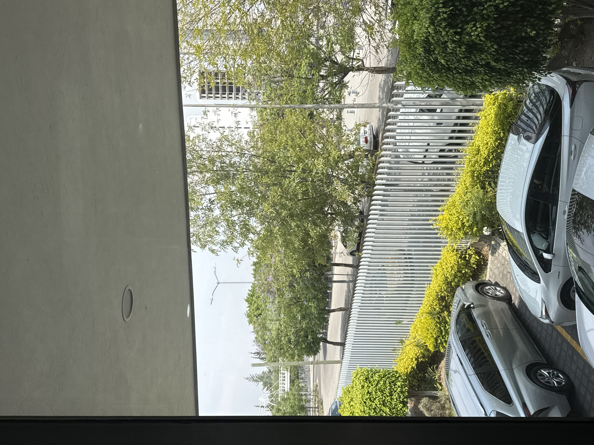 Indoor scenes captured in Puebla: window view, gym interior