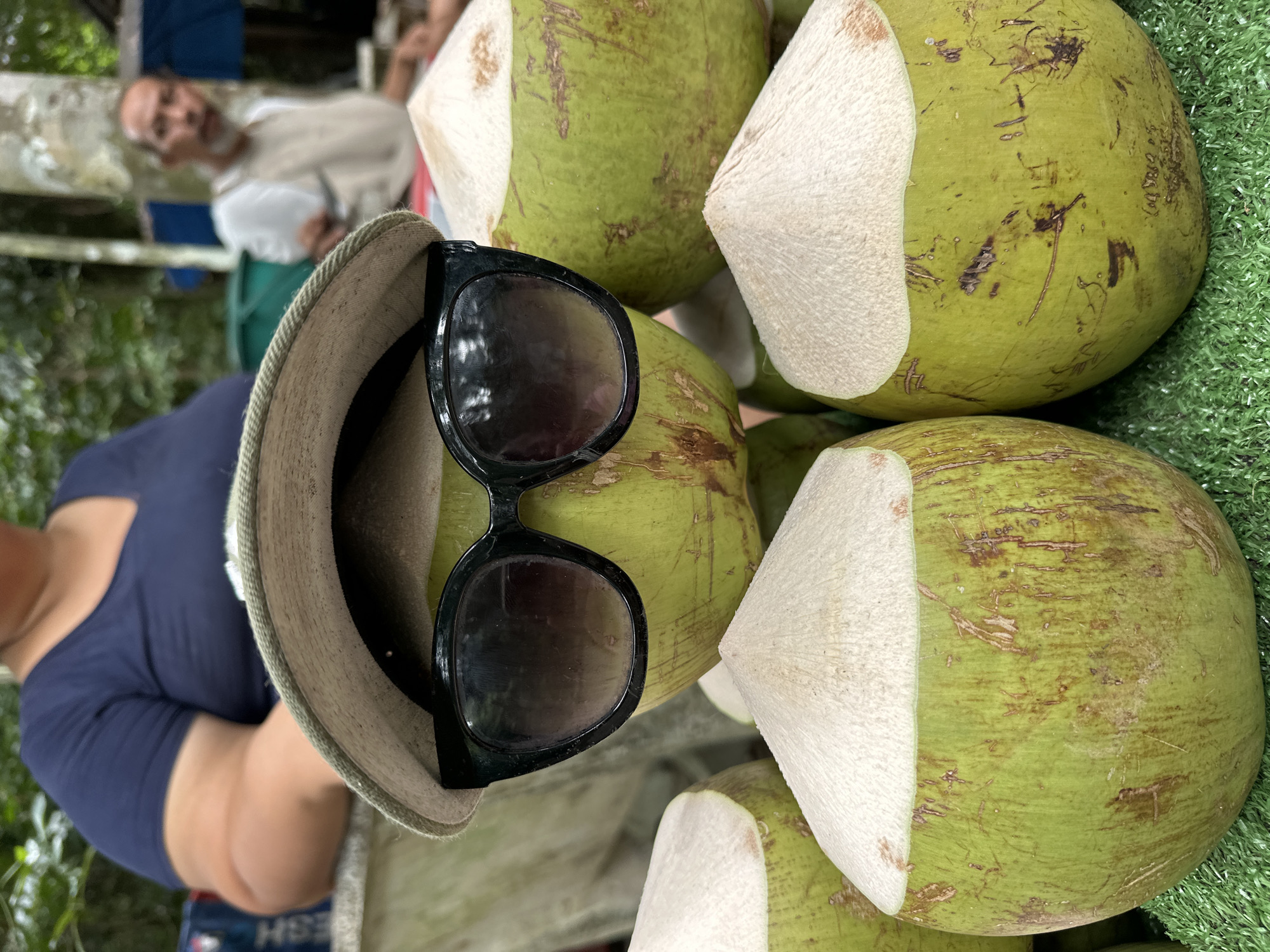 Waterfall, jungle vines, and coconuts on Ko Samui