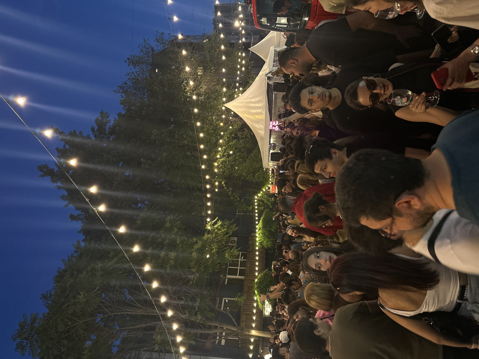 Evening wine festival draws crowds in Yerevan, Armenia