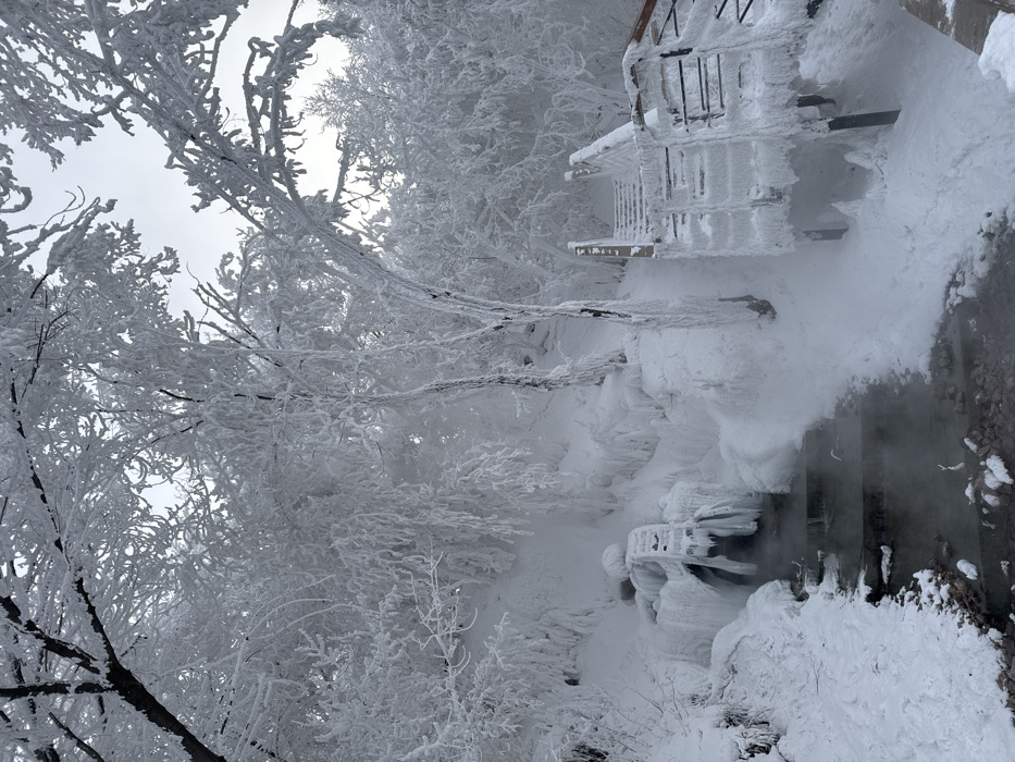 Winter scenes documented across frost-covered Krasnoyarsk locations