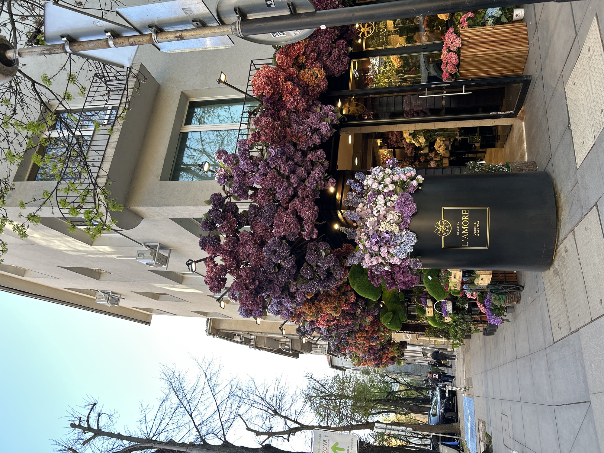 Spring blooms color Sofia streets with hydrangeas and wisteria