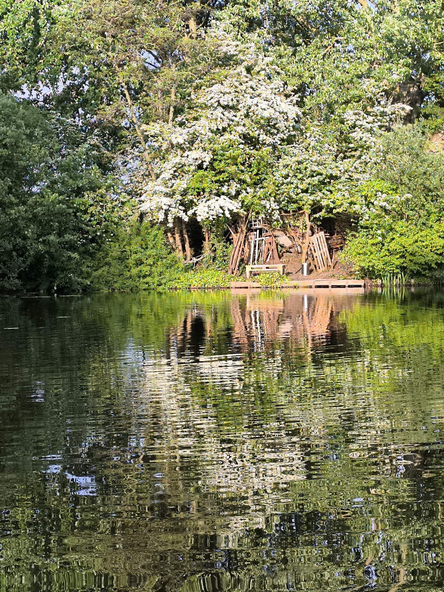 Evening stroll documented through Alkmaar canals and gardens