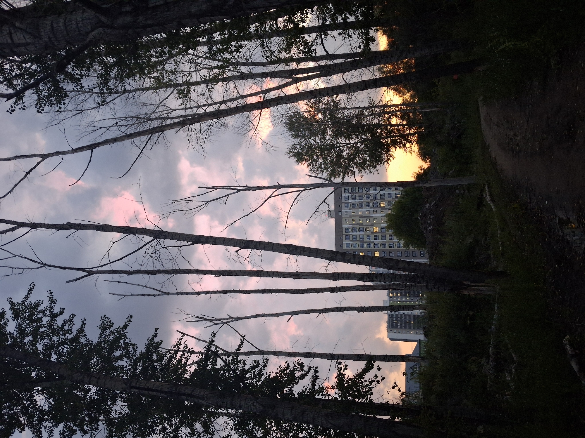 A hot summer afternoon drifting through Novosibirsk's streets and green edges