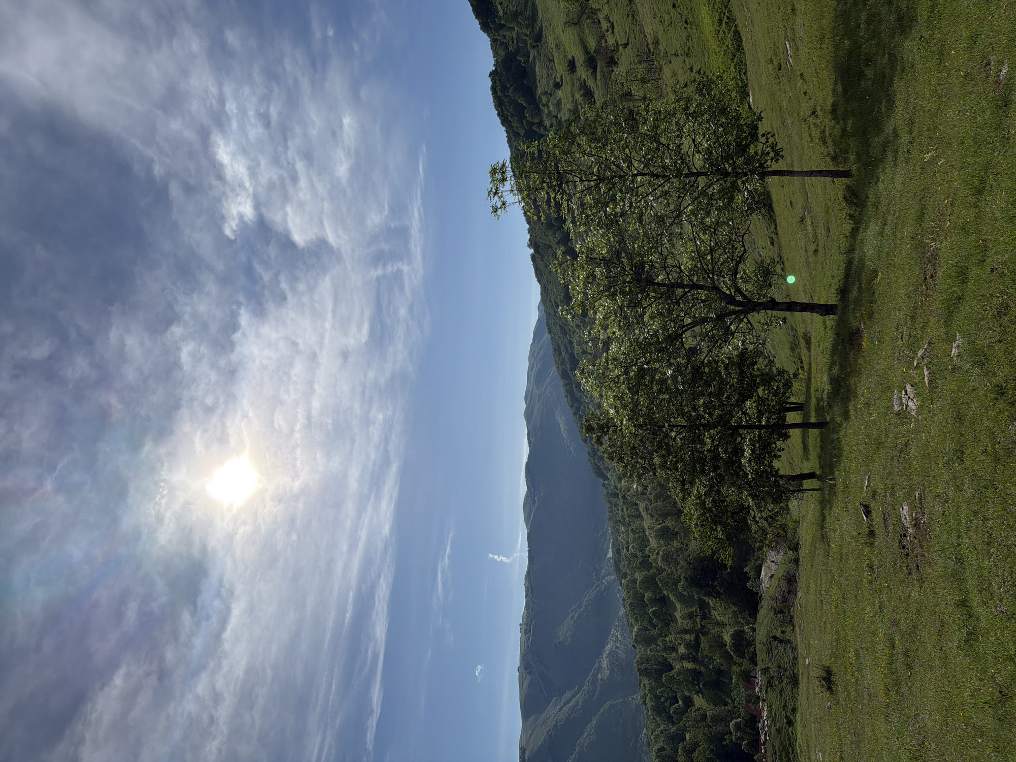 Rural cattle farming observed in Montenegro's mountain village