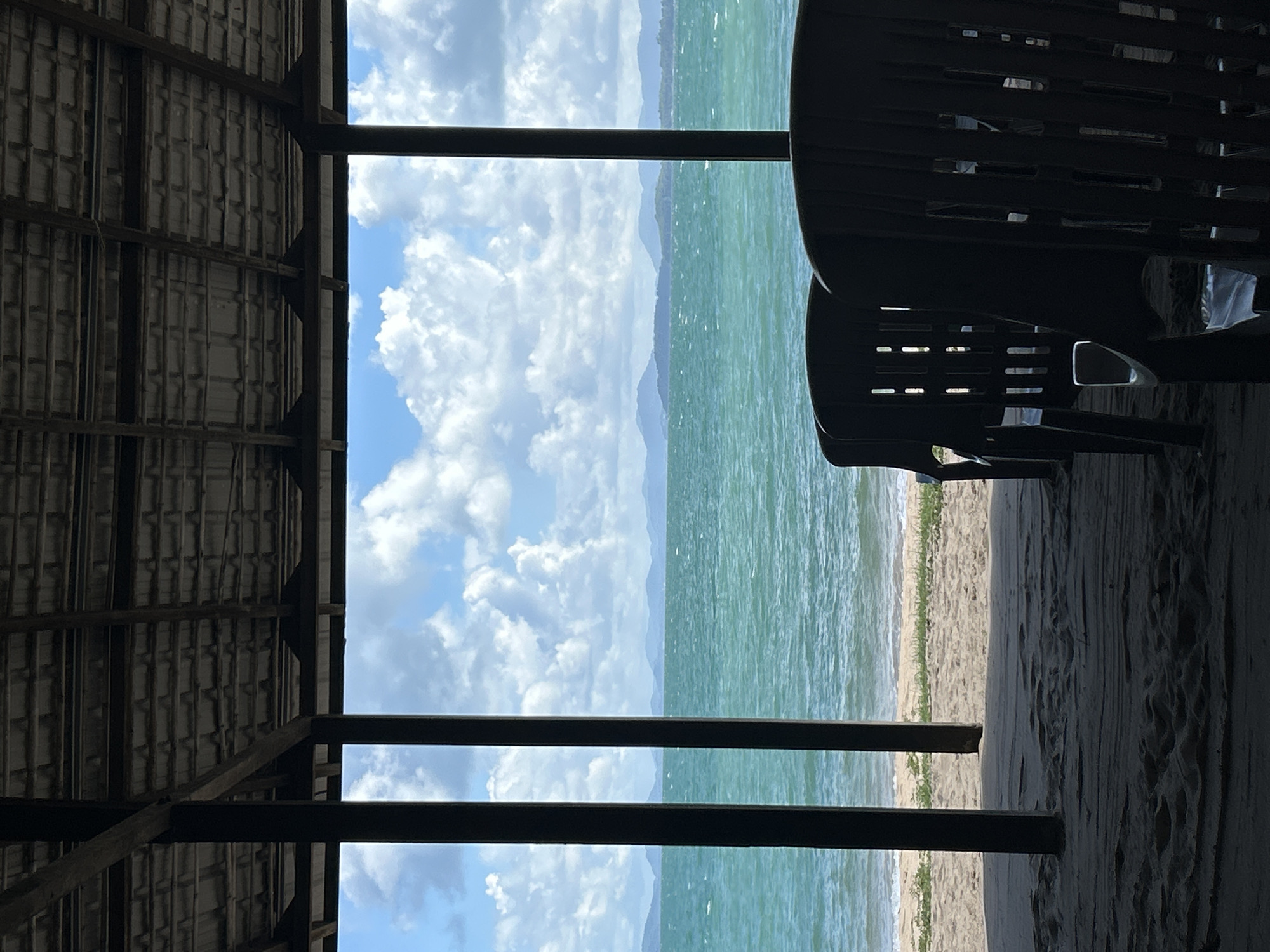Lazy beach morning in Ban Khlong Hia, palms and cows included