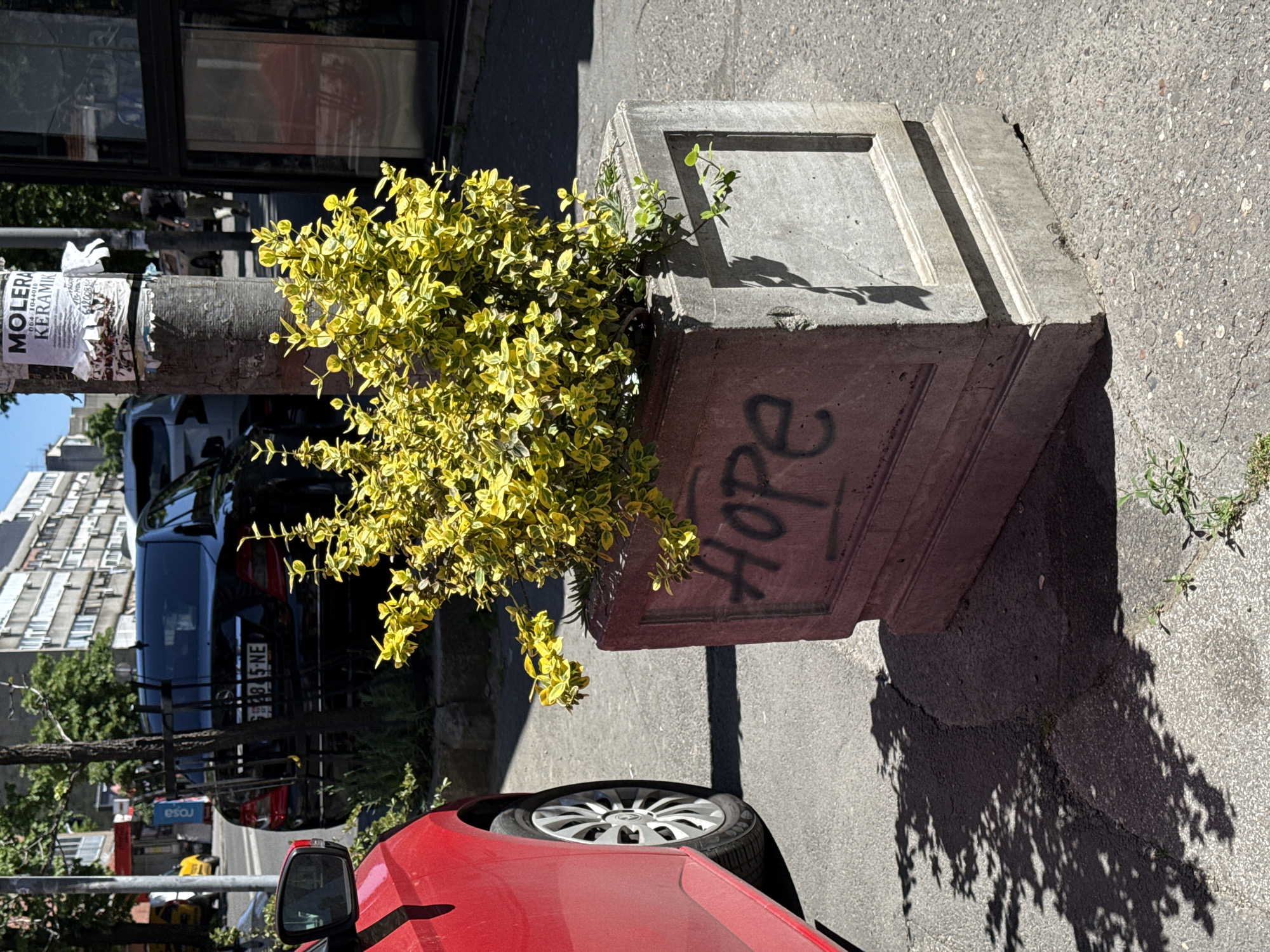 Walking tour captures everyday street life in Belgrade suburb