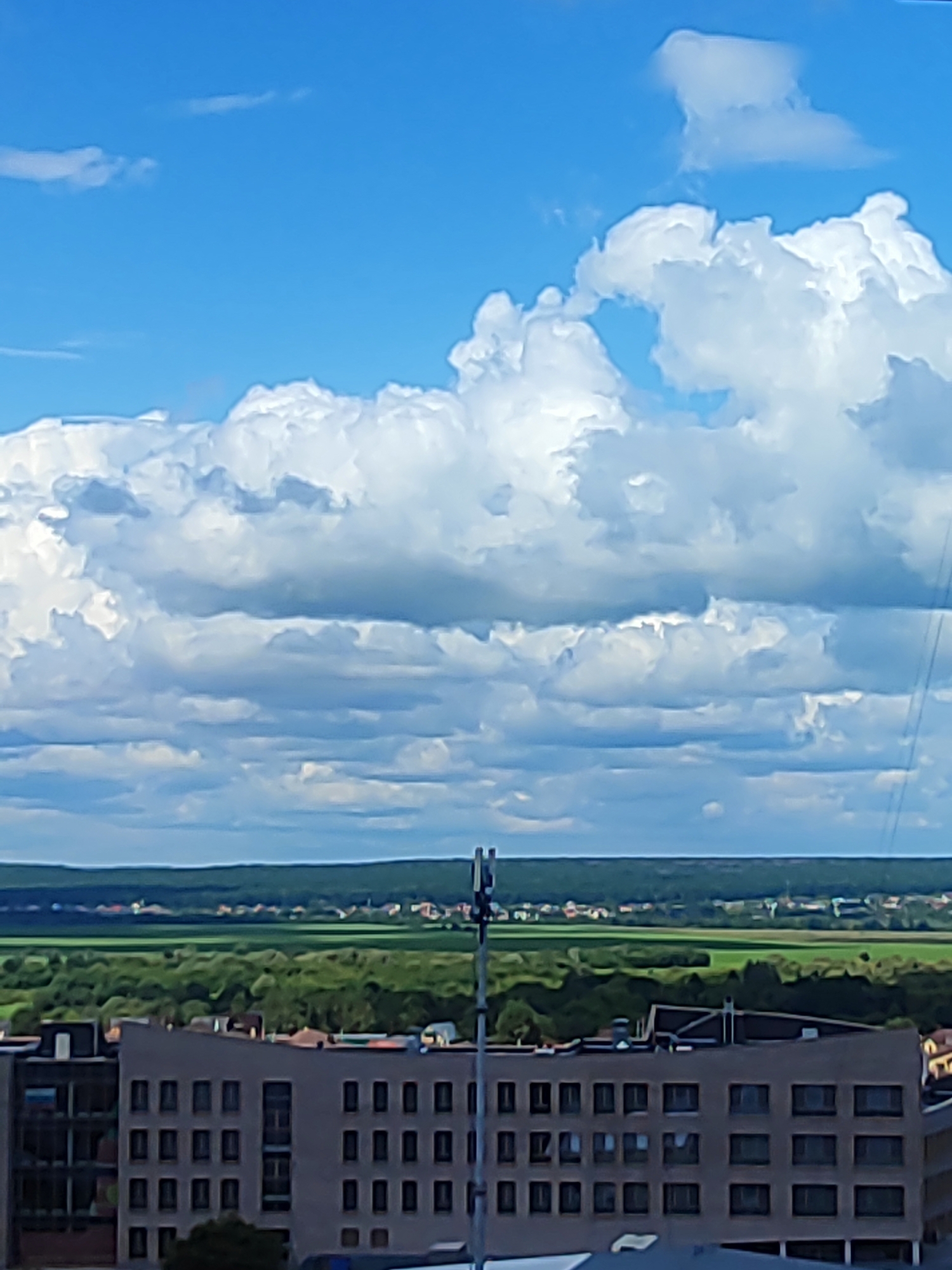 Quiet morning in Voronezh: birds, stones, skies, and still life