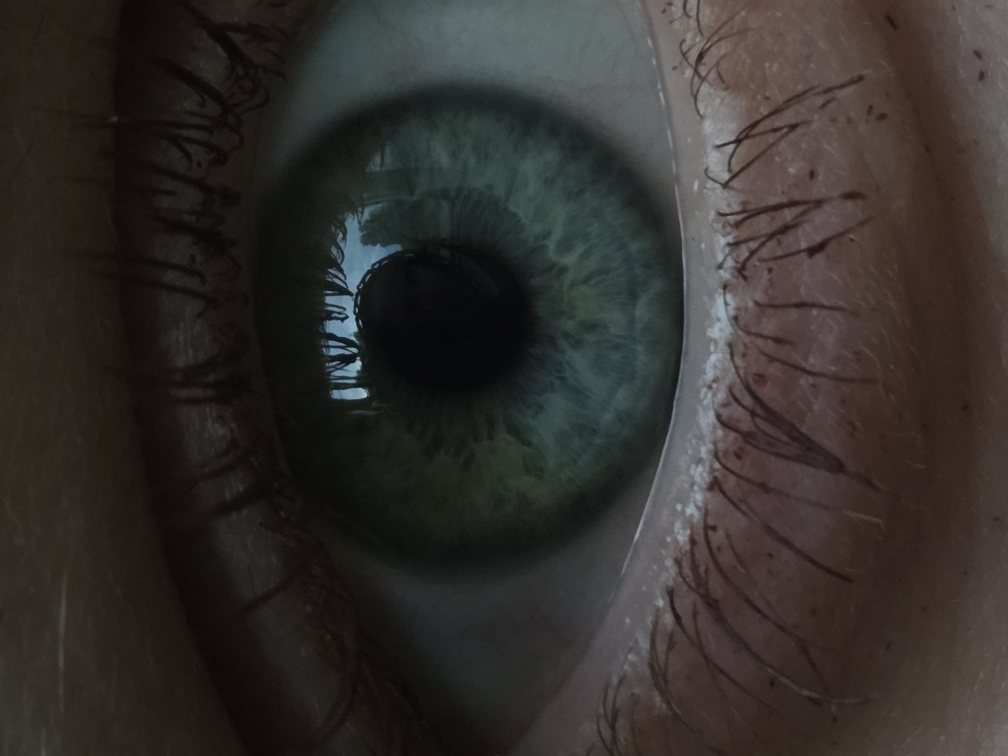 Close-up memories of eyes, pets, and quiet moments documented