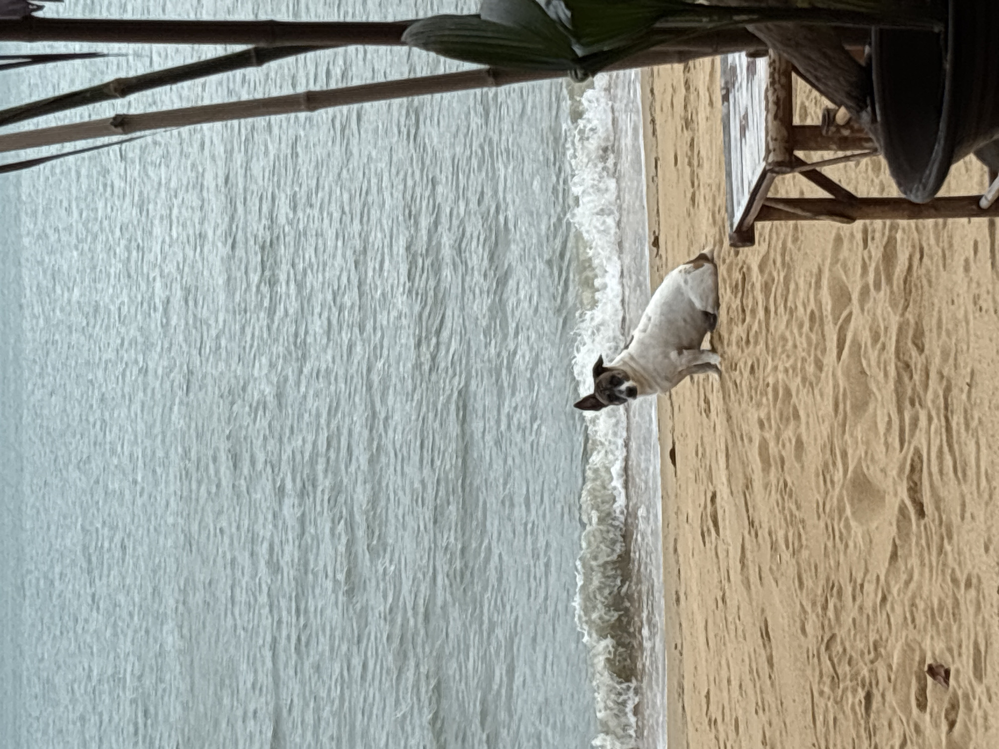 Morning beach life documented in Baan Bo Phut, Thailand