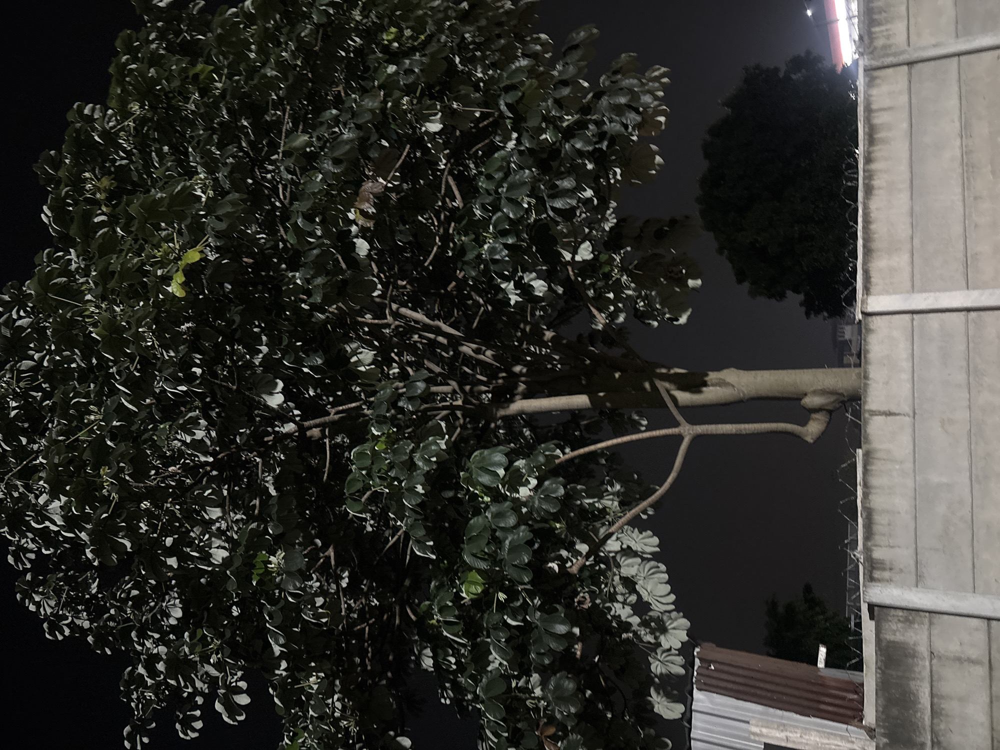 Motorcycle rider documents nighttime street scenes across Tangerang, Indonesia