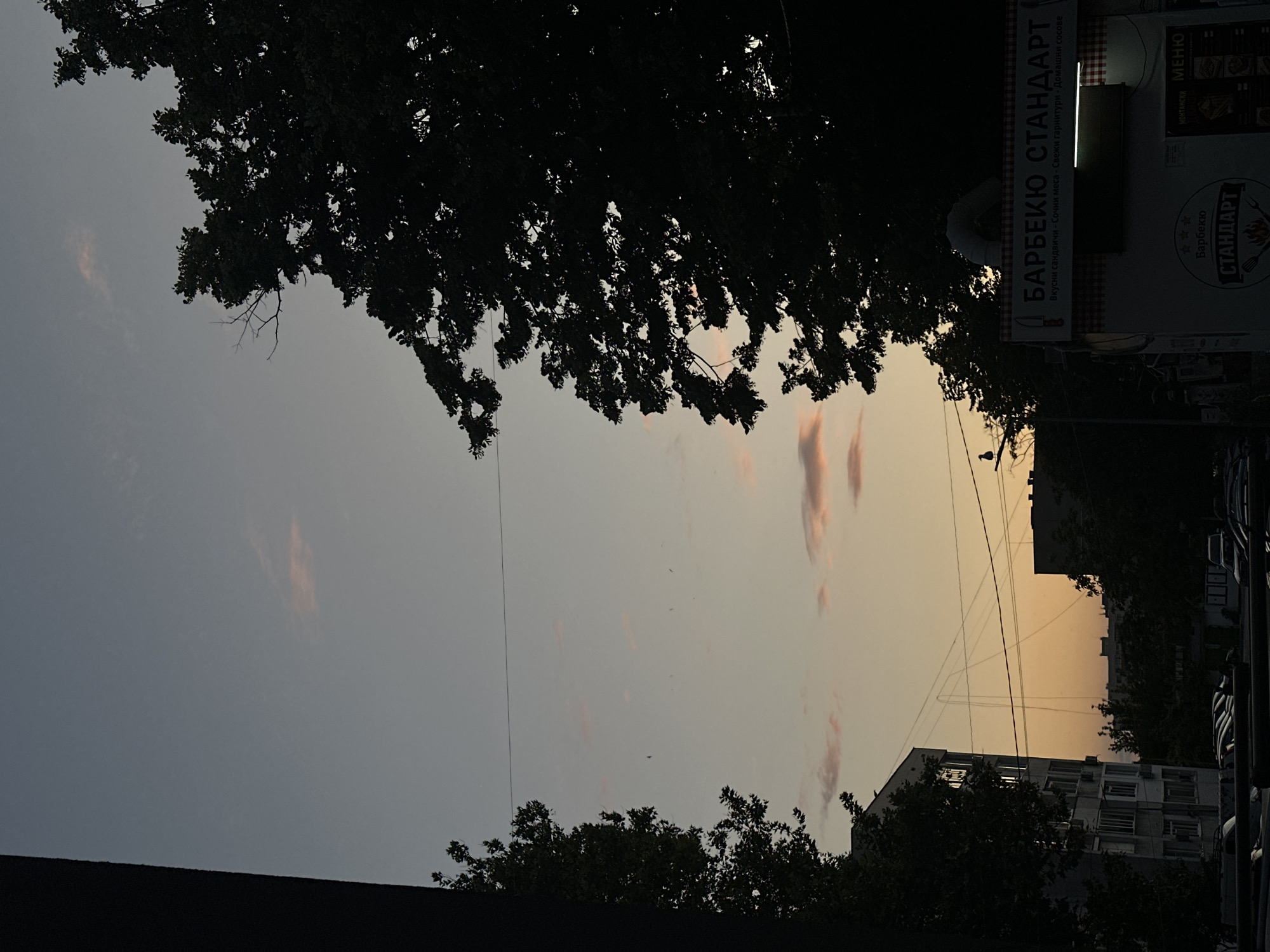 Summer evening in Varna — drinks, dog walks, twilight sky
