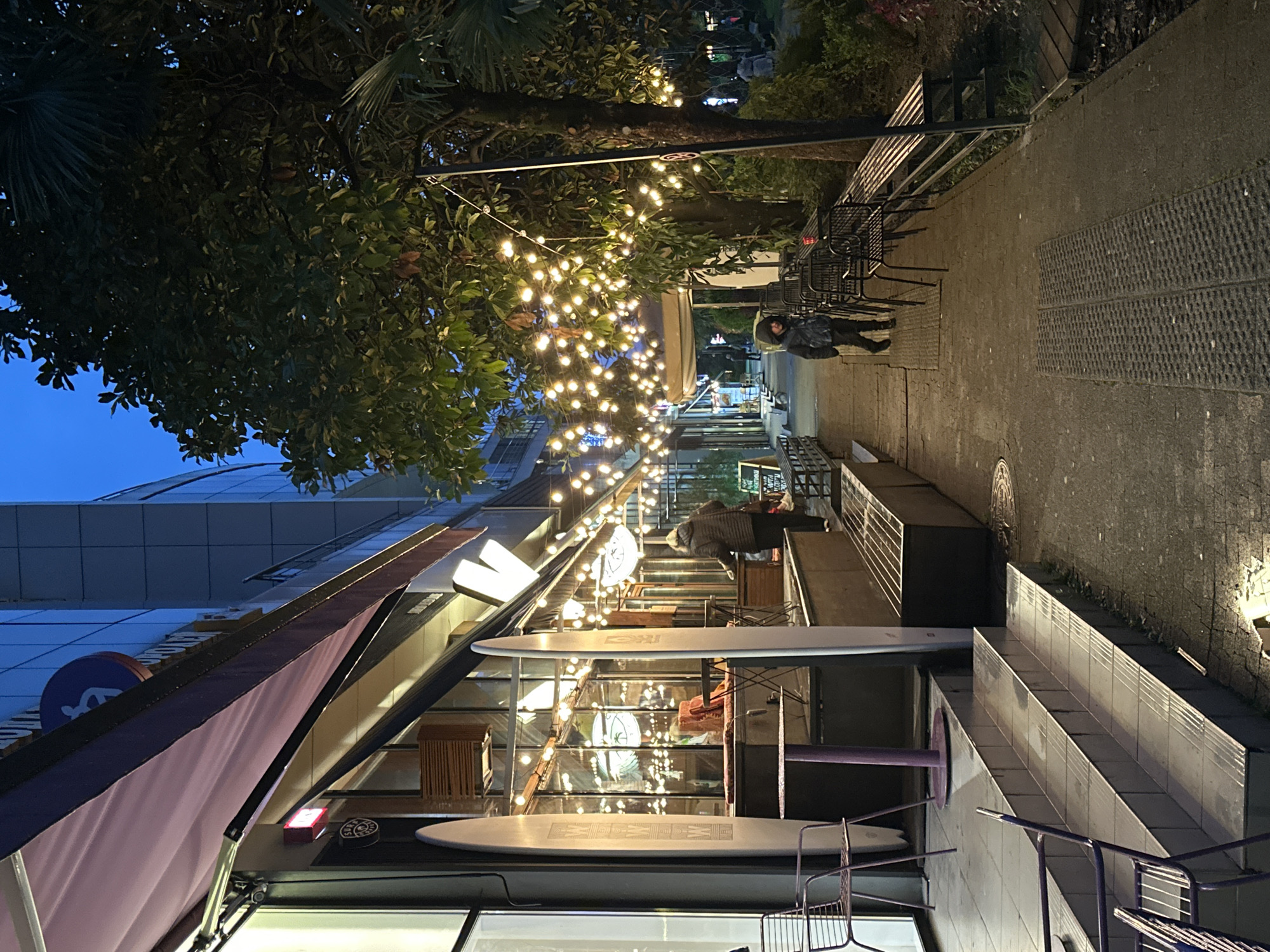Evening street scene captured in Sochi commercial district