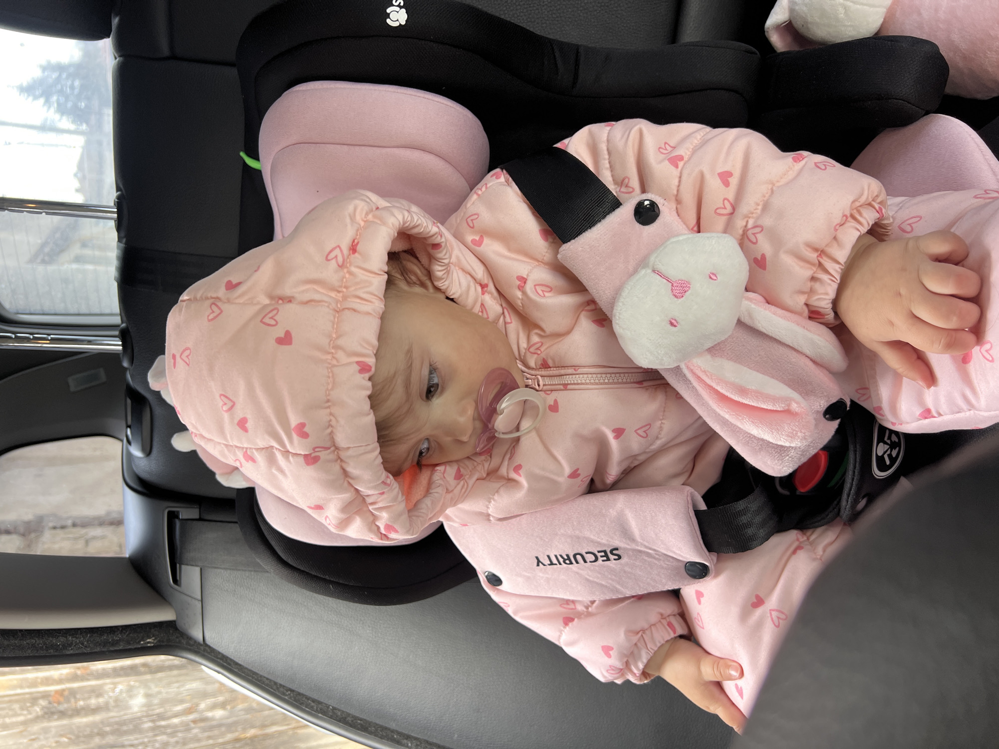 Baby in pink jacket travels with stuffed bunny in Elena