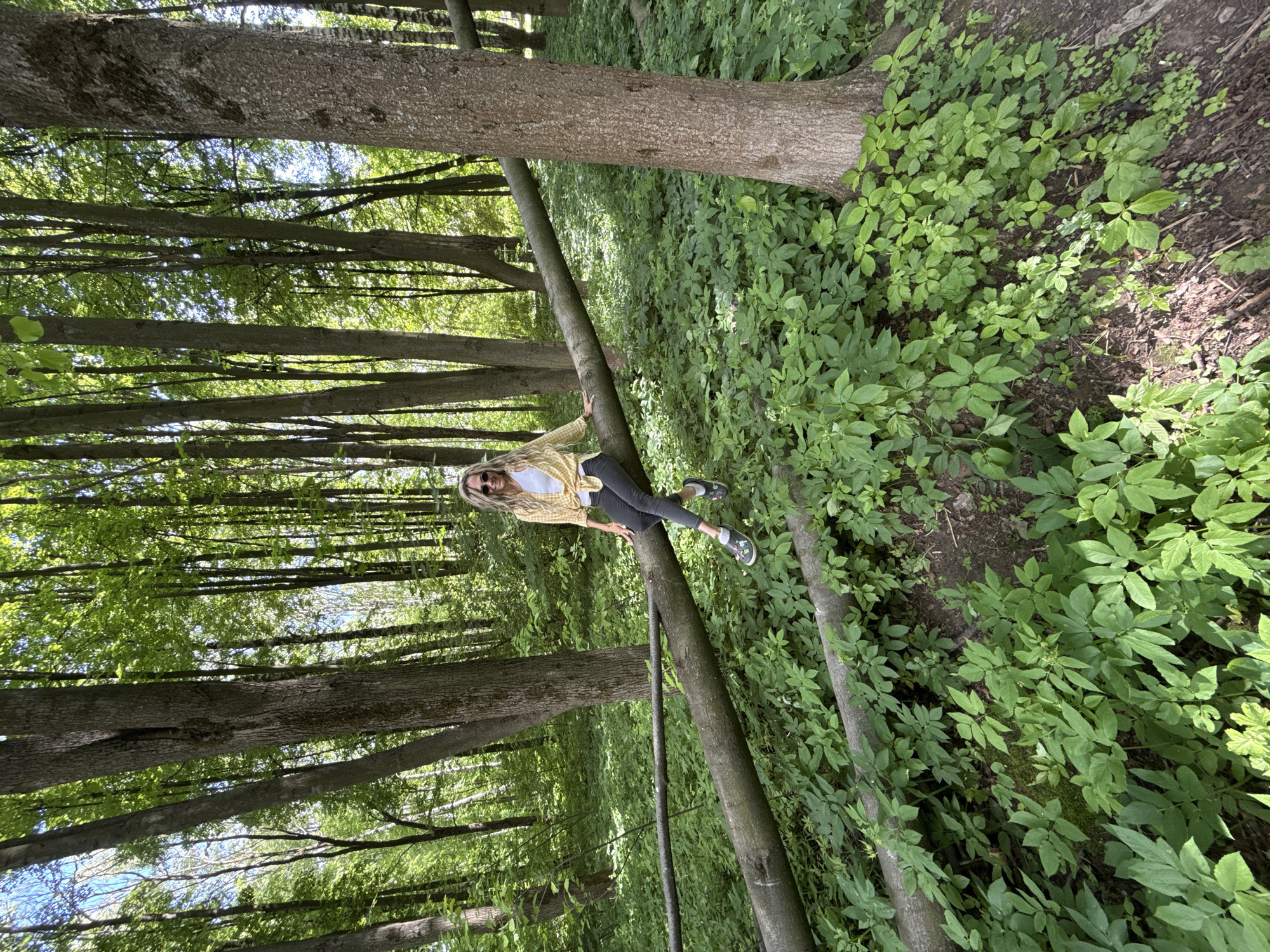 Forest scene documented in Rusanovo, Russia