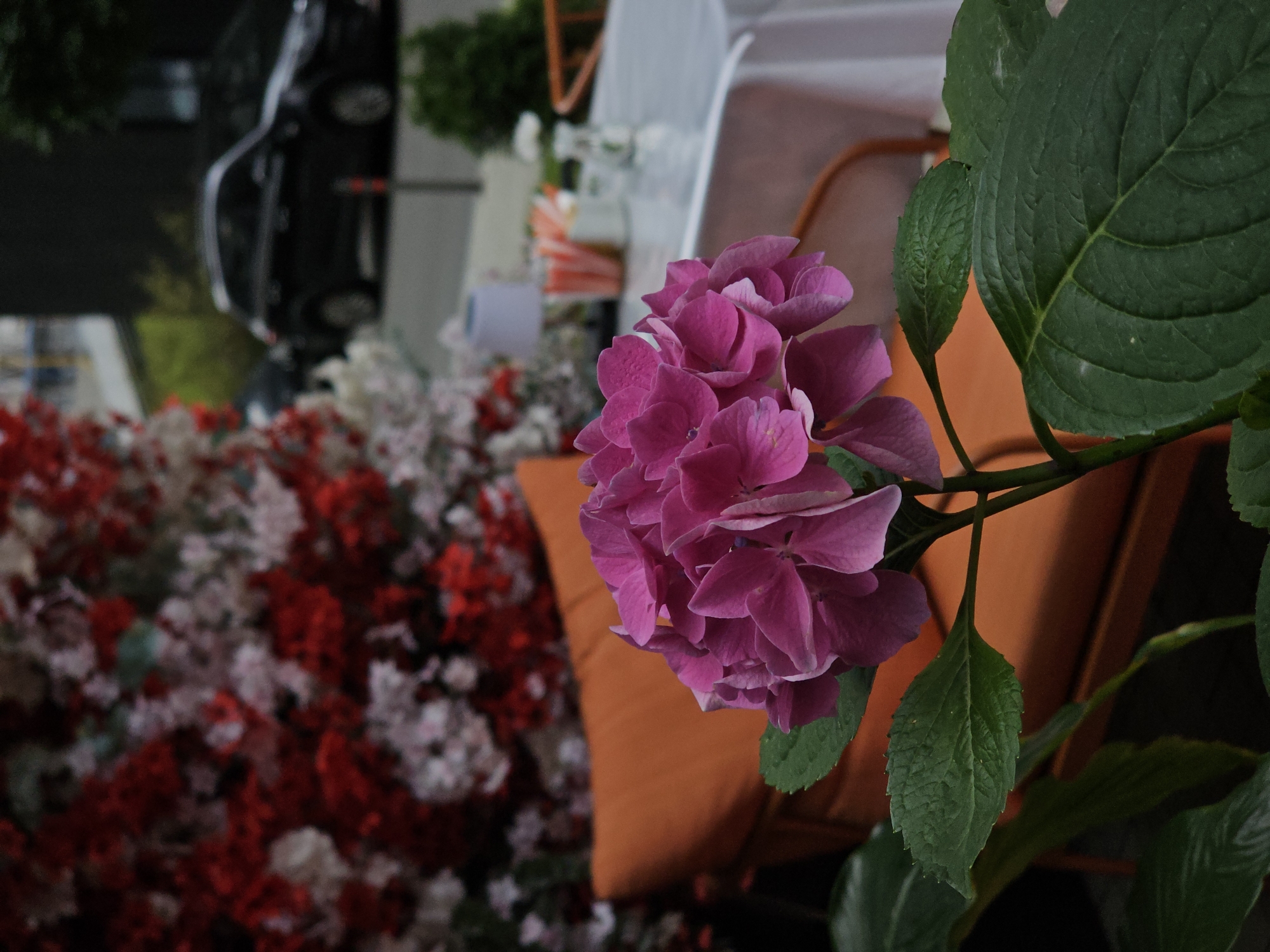 Event