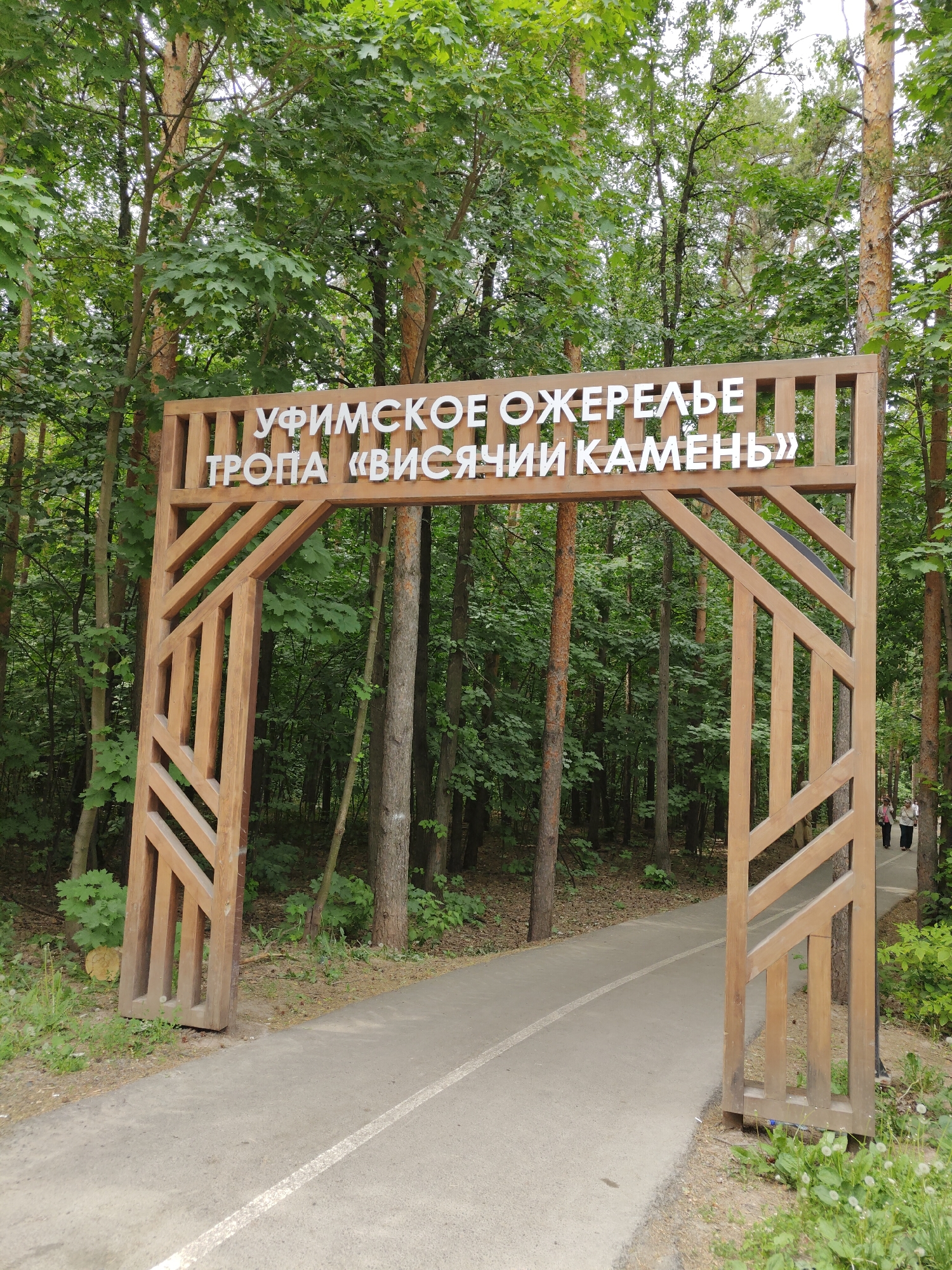 Morning forest walk documented in Ufa park, Russia