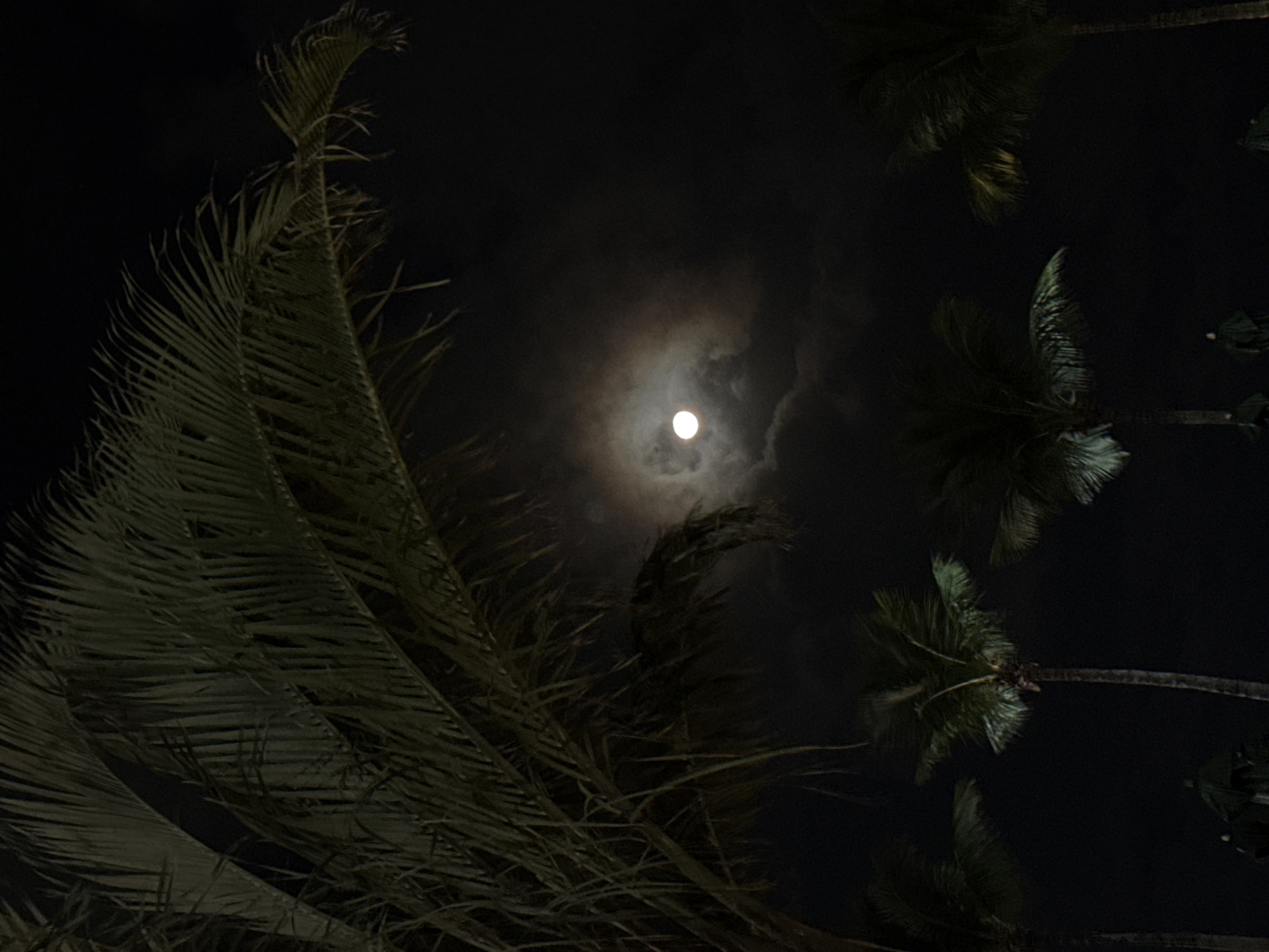 Rio residents capture moonlit evening of dining and coastal scenes