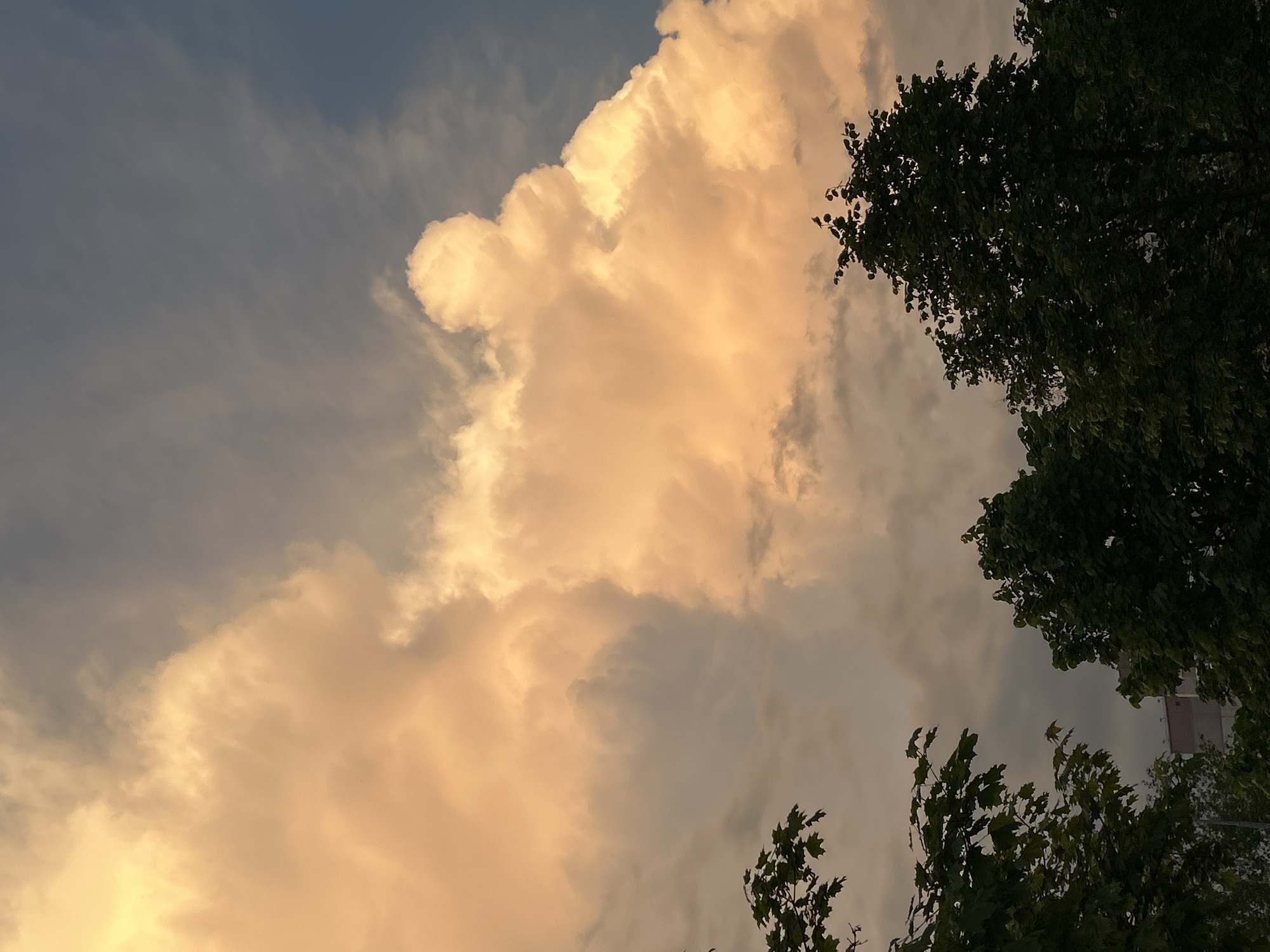 Spring evening scenes: flowering trees, golden clouds, crescent moon