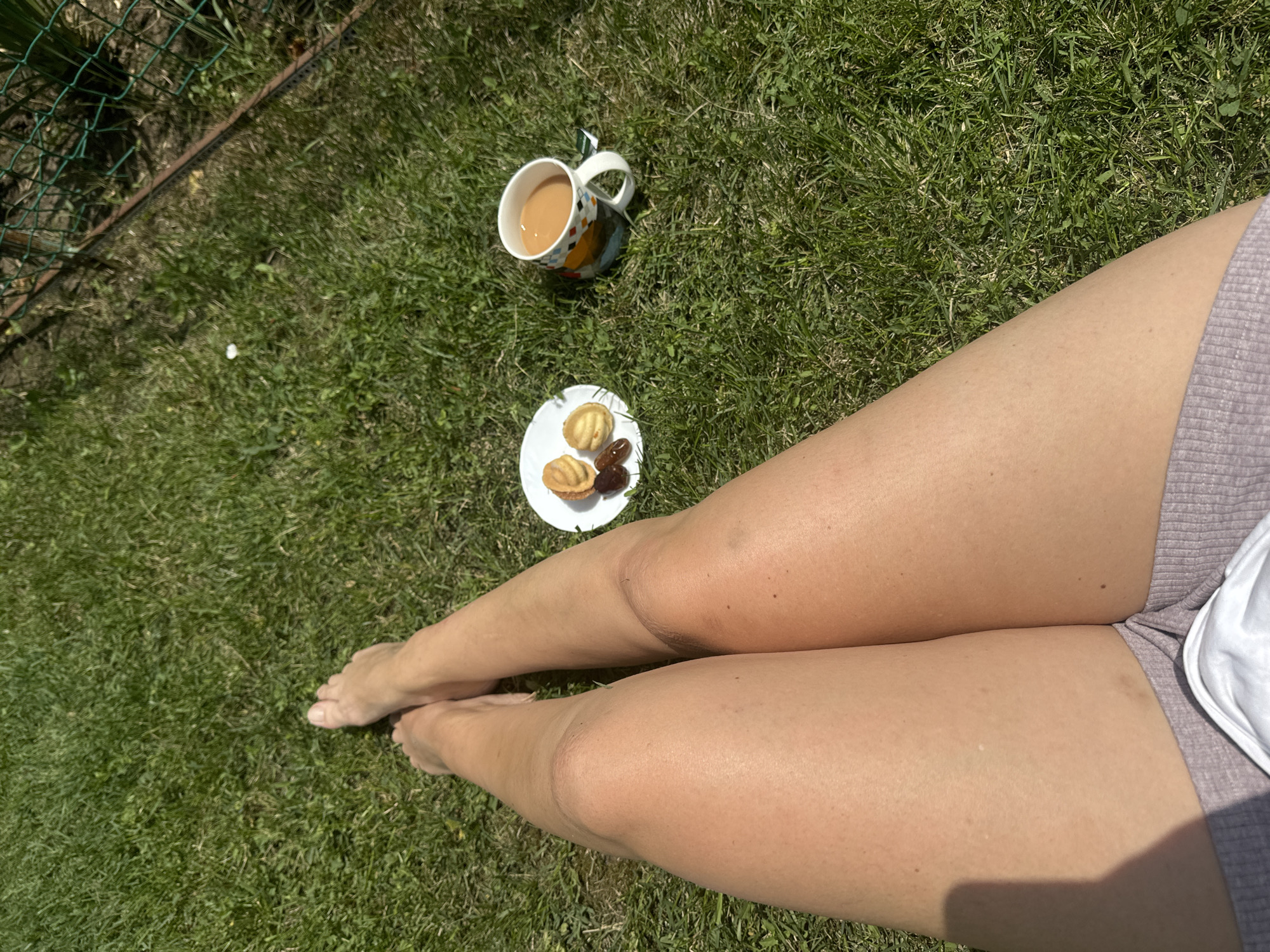 Lazy morning in the garden with tea, snacks, and a cat