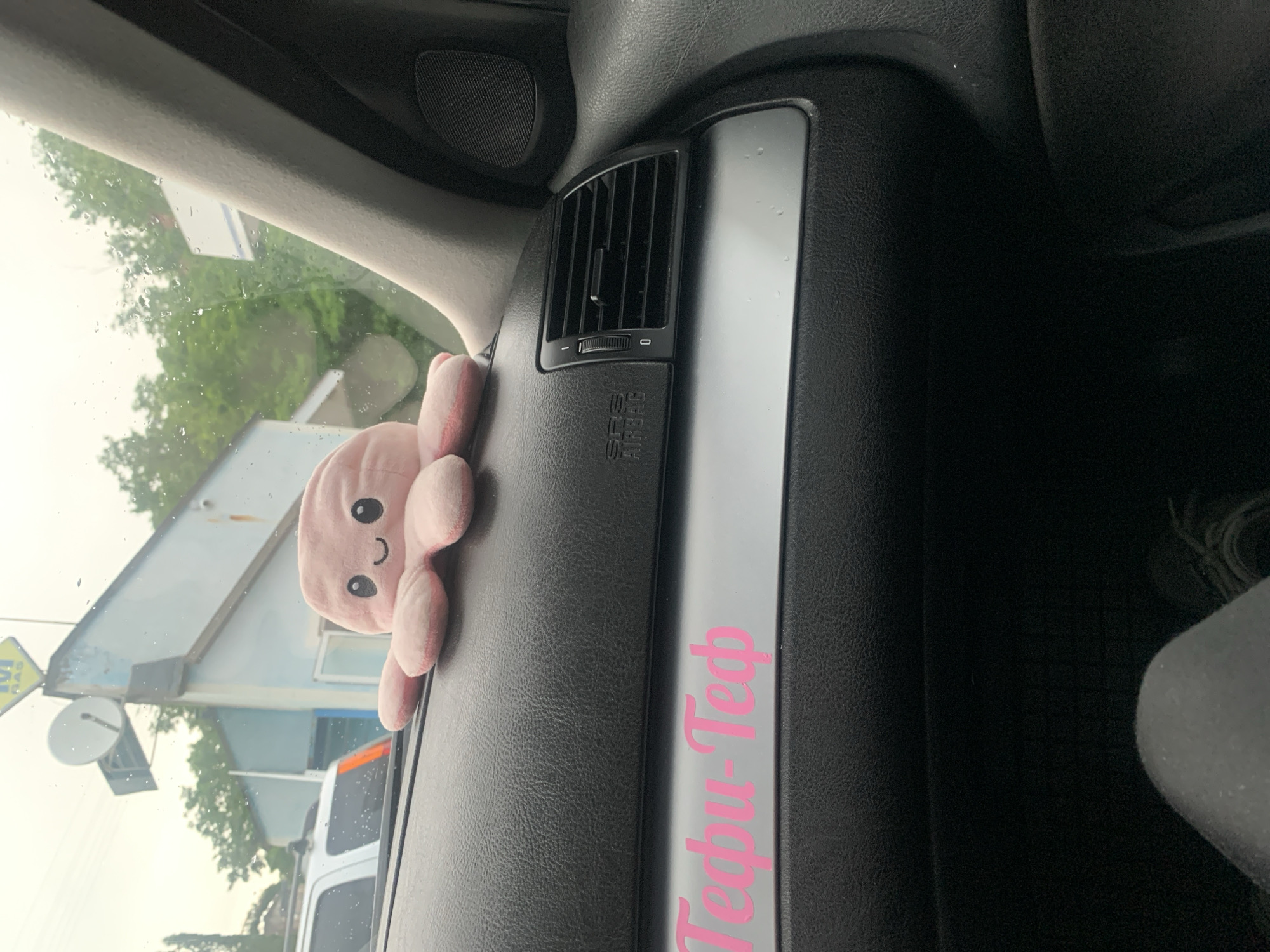 Dashboard view from a car in Madan, Bulgaria