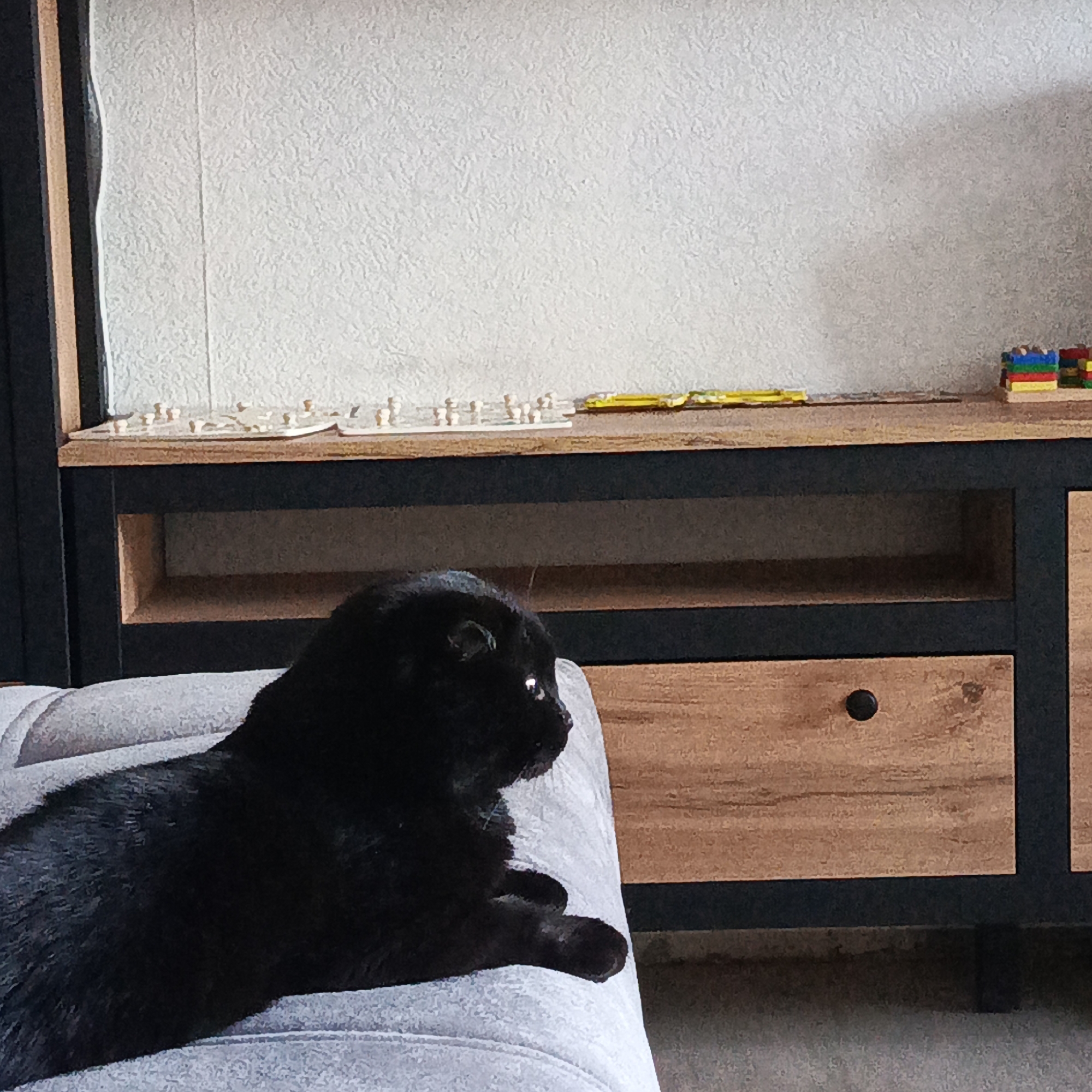 Domestic moments with black cat captured in Марковский, Russia