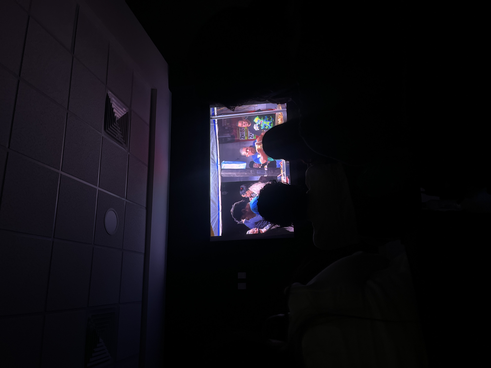 Dimly lit room with screen and textured wall documented
