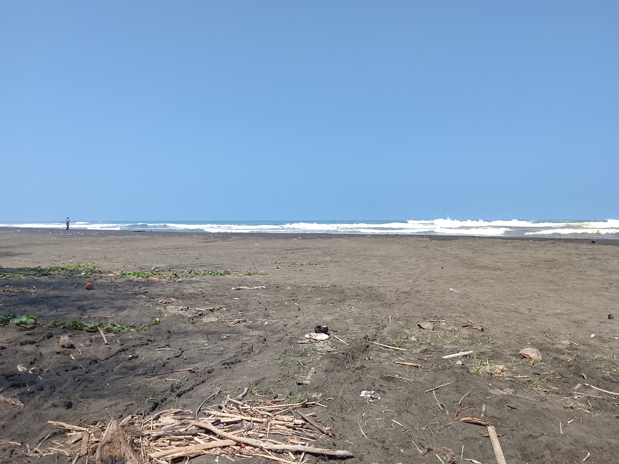 Early morning at Adipala's dark-sand beach with local snacks