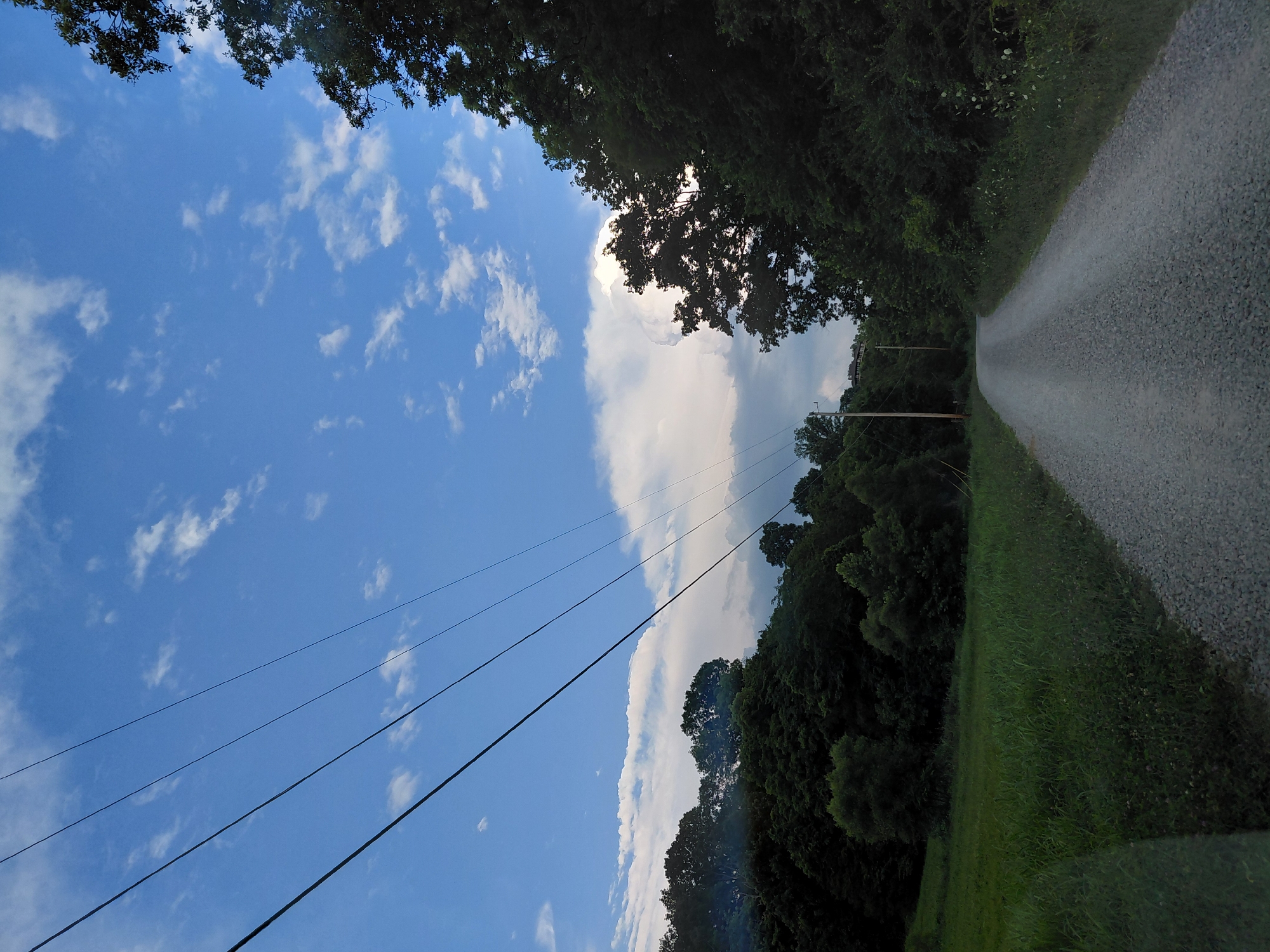 Winding dirt road through rural Kentucky farmland