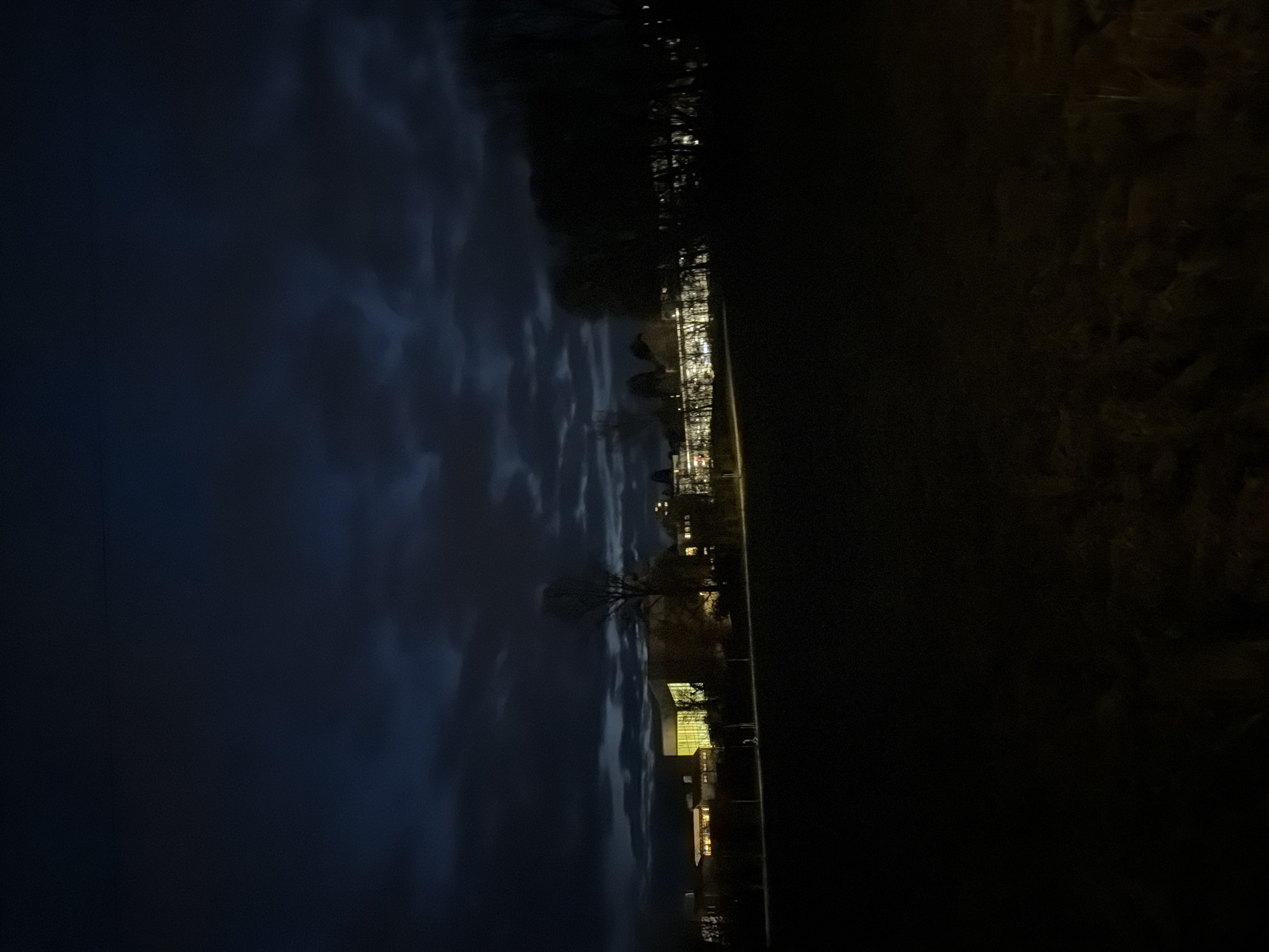 Nighttime water reflection scene observed in Fürth, Germany