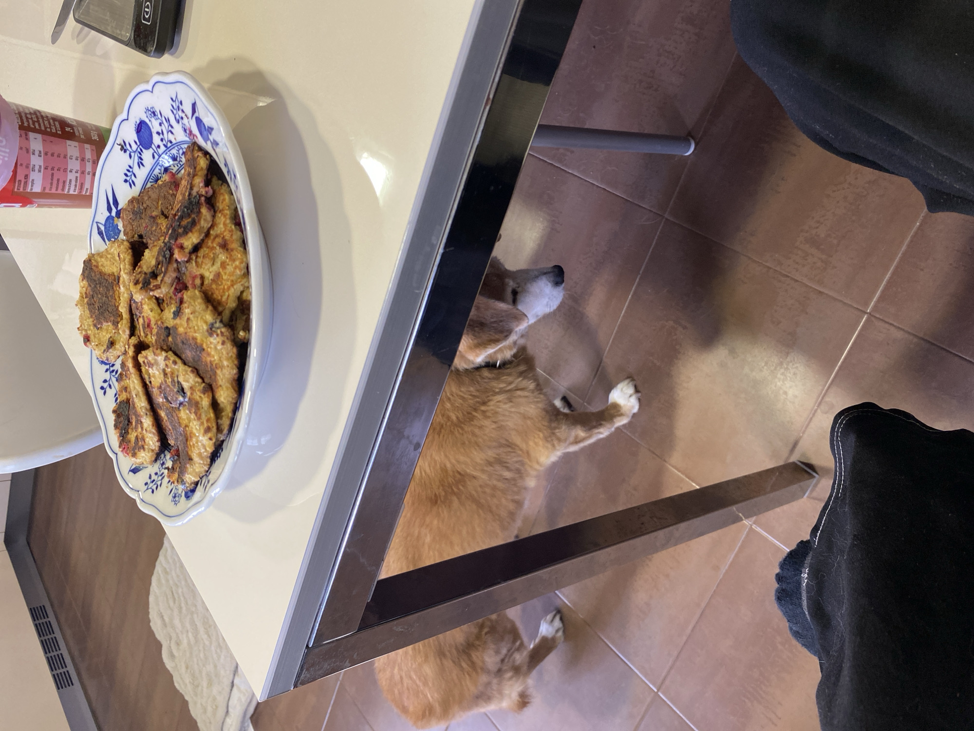 Quiet domestic moments with pets and cooking in Villaviciosa