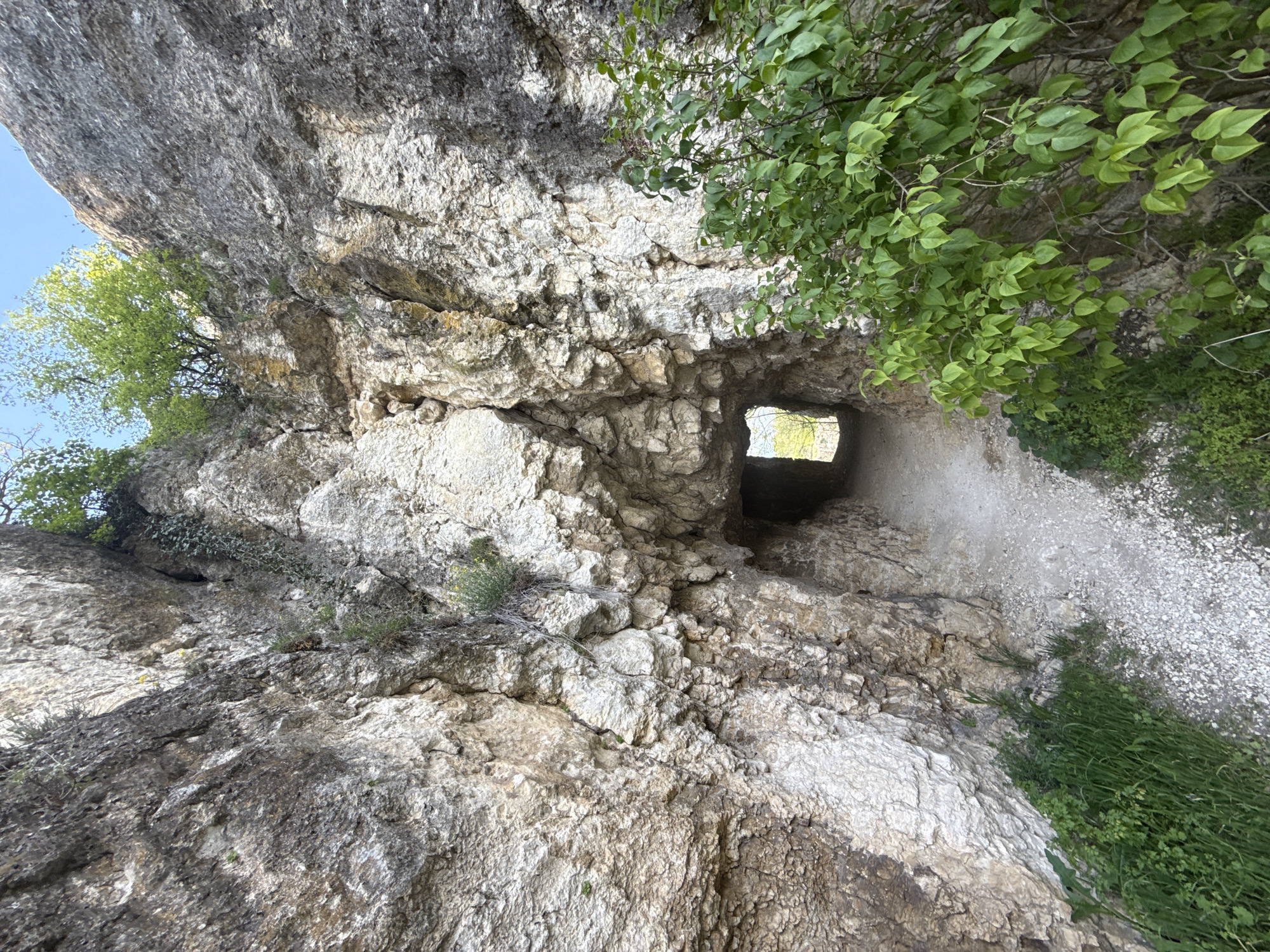 Limestone cliff with green vegetation documented in Pleven, Bulgaria