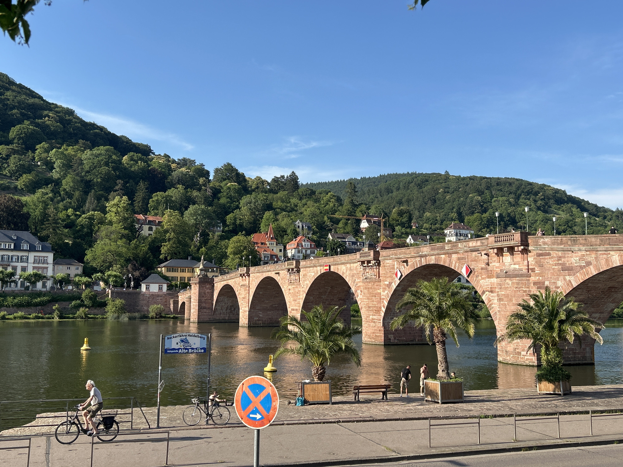 Heidelberg's old bridge and cobblestone streets on a June afternoon