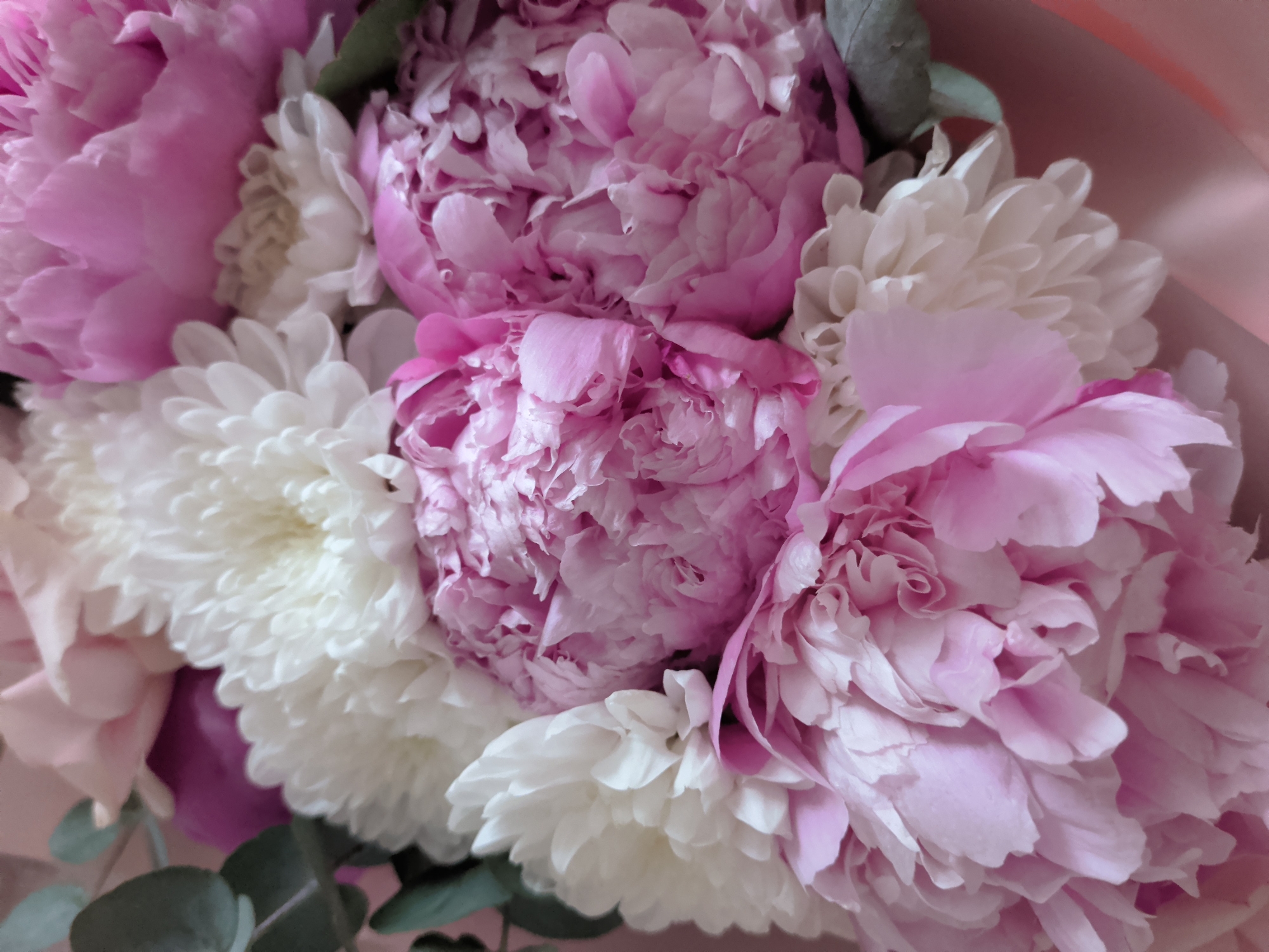 Flowers, sushi prep, and Krasnoyarsk courtyards on a quiet afternoon
