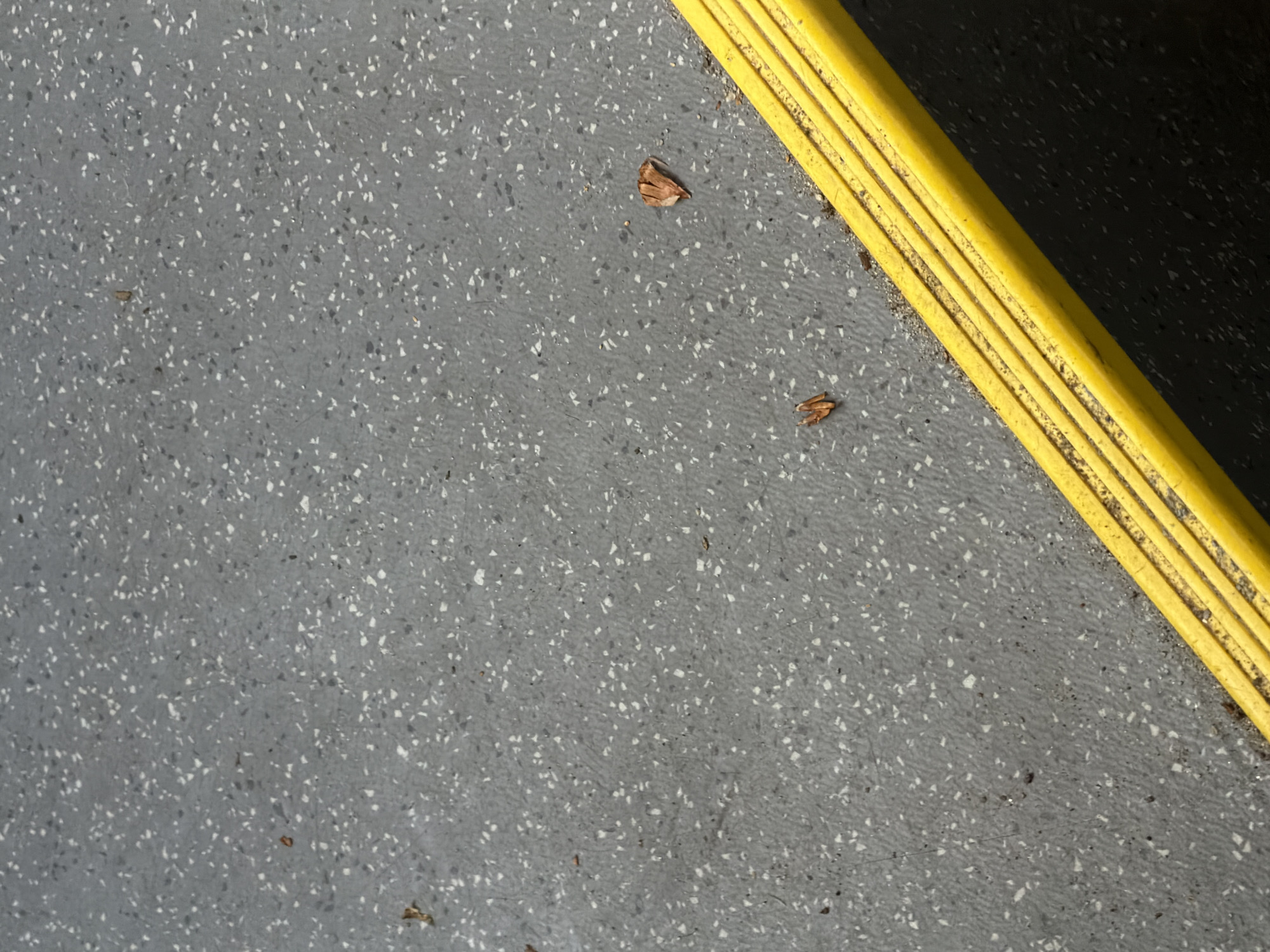 Terrazzo flooring documented in Glücksburg building