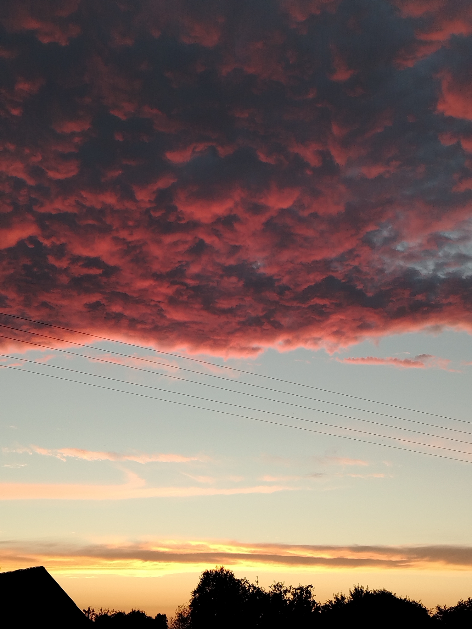 Vivid rural sunset with clouds, silhouetted trees, and power lines.