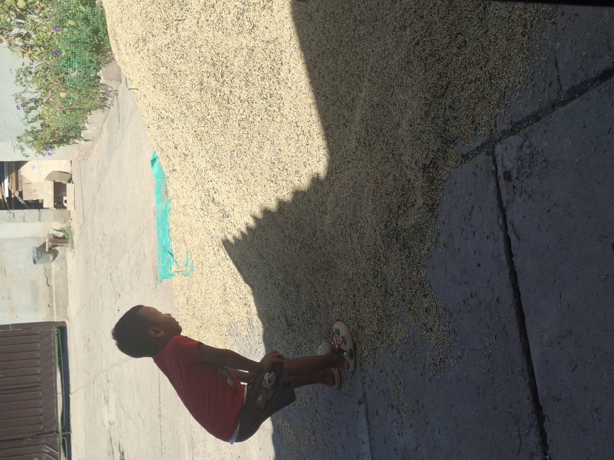 Everyday rural life in Jeti-Ögüz on a summer morning