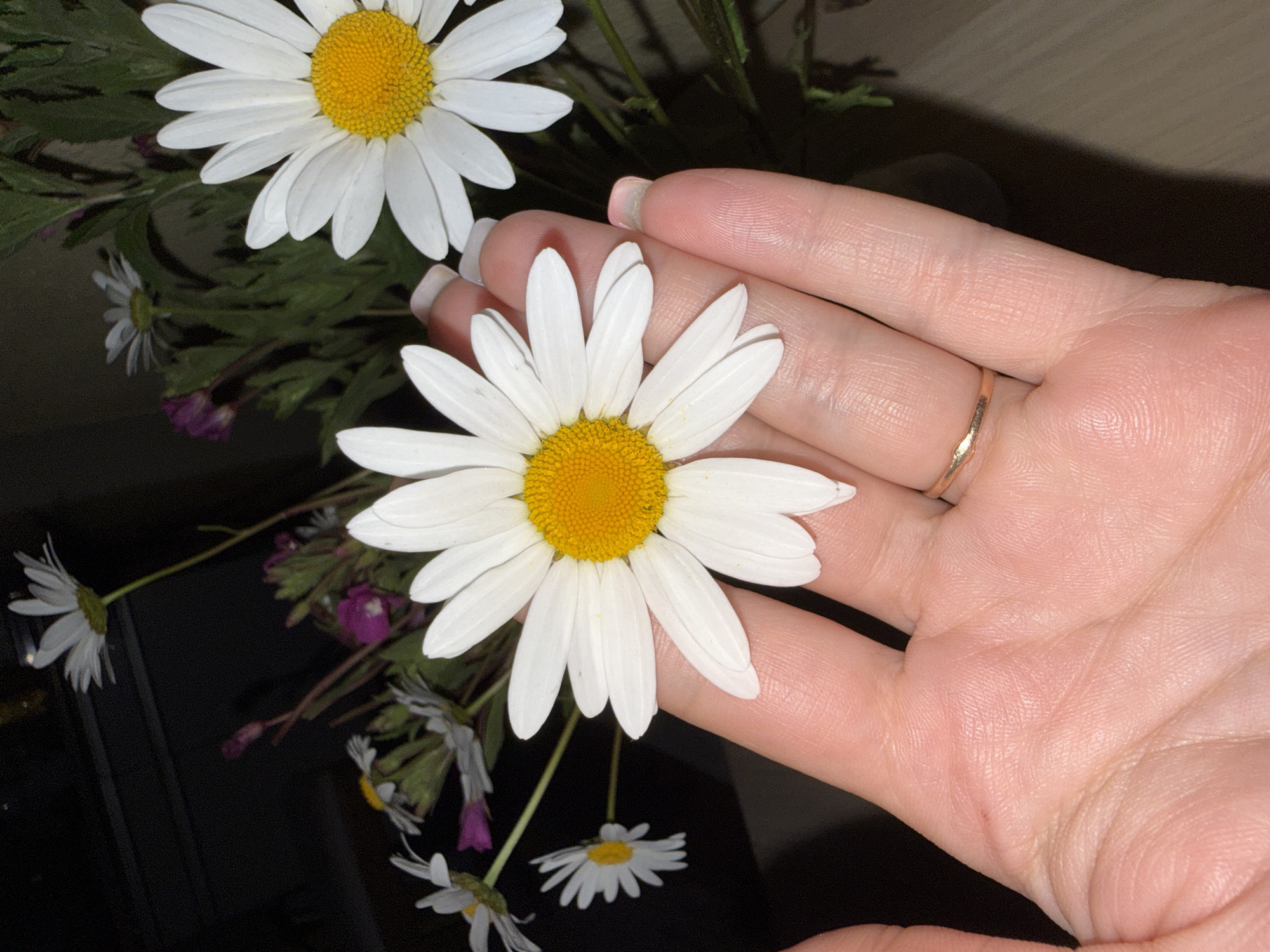 Wildflower bouquets and quiet home scenes in Saint Petersburg