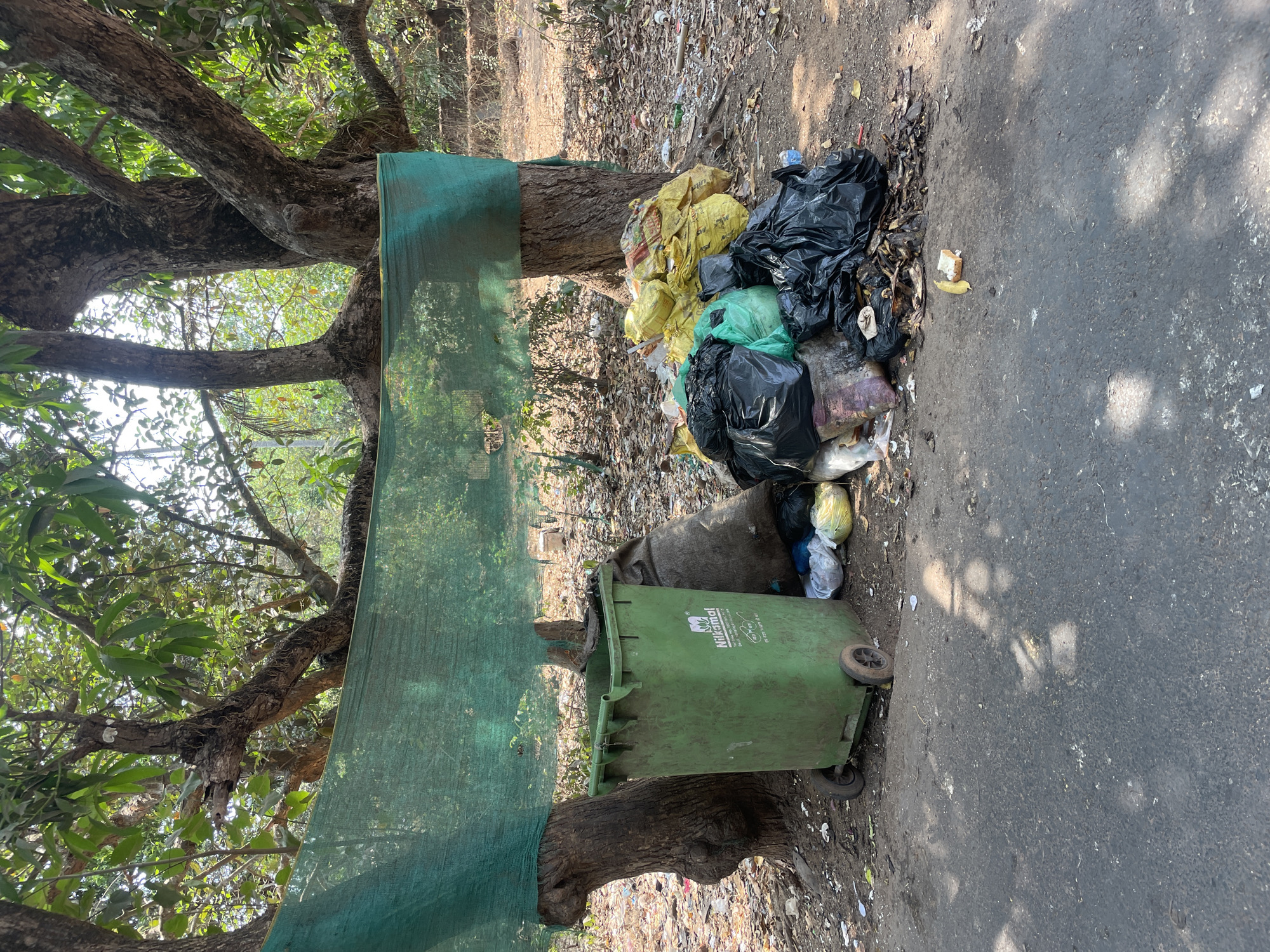 Daily scenes documented across Oxel, India locations