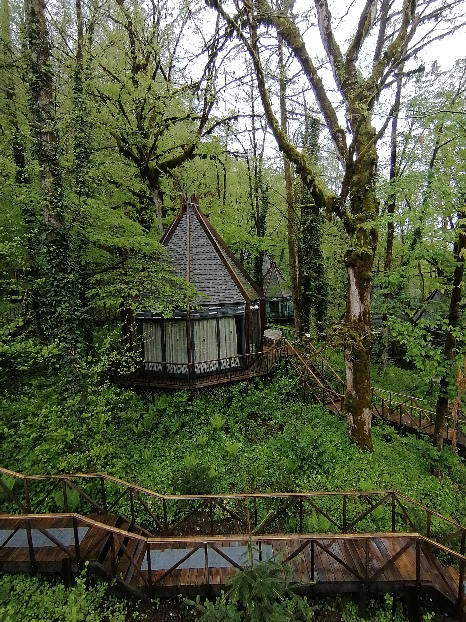 Forest cabins with walkways spotted in Medoveevka, Russia