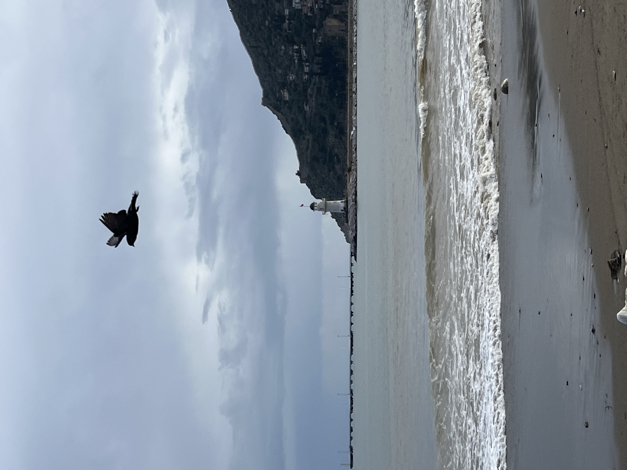 Tourist captures mixed scenes of Alanya coastline and city life