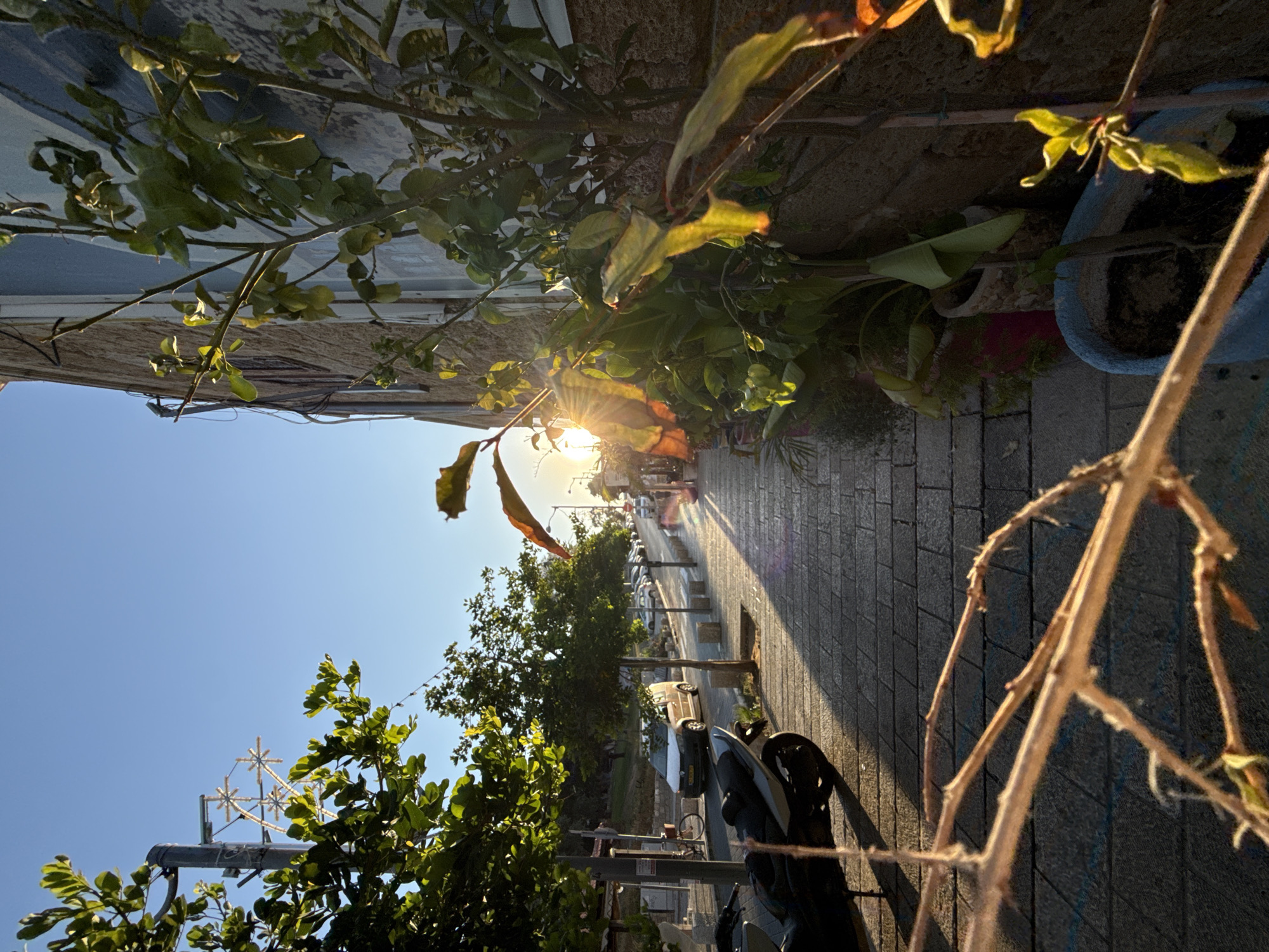 Golden hour in Tel Aviv's old cobblestone alleys and streets