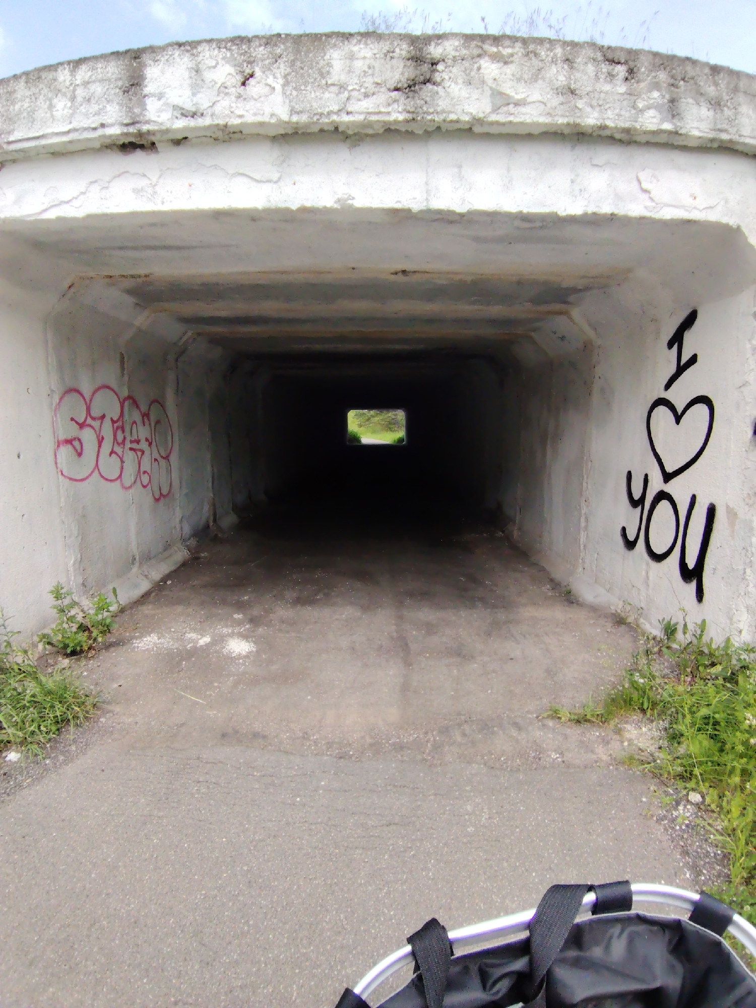Cyclist documents wildflowers and graffiti across rural Belarus countryside