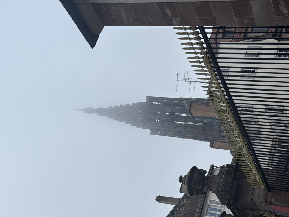 Gym workout and Strasbourg sightseeing documented by single witness