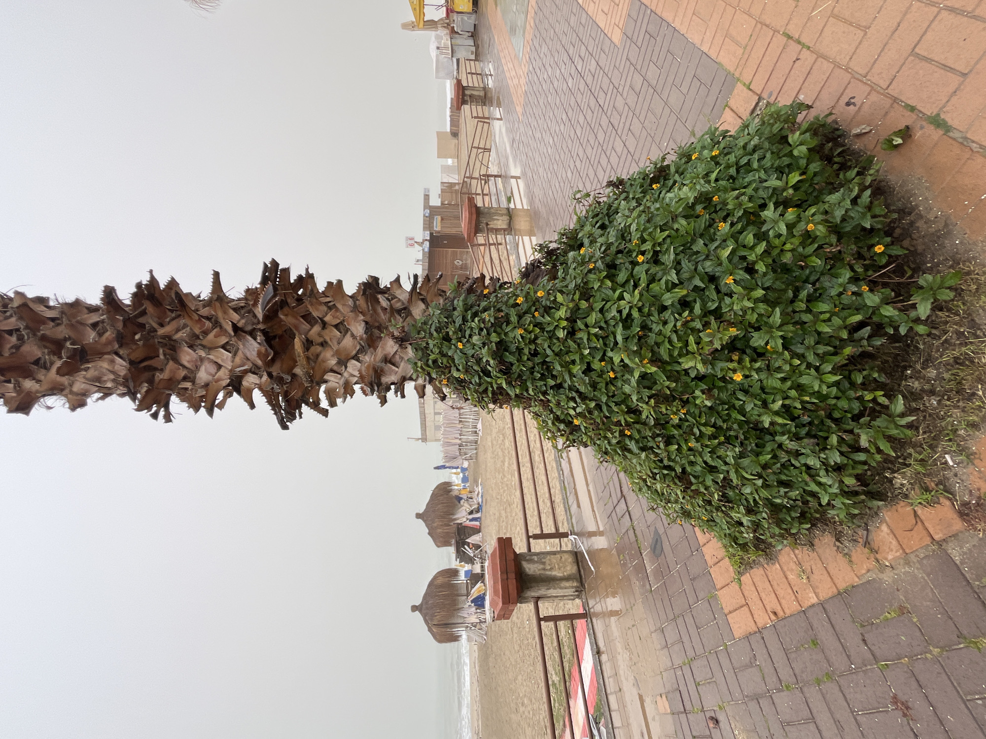 Hazy weather and art installations documented in Alanya Turkey